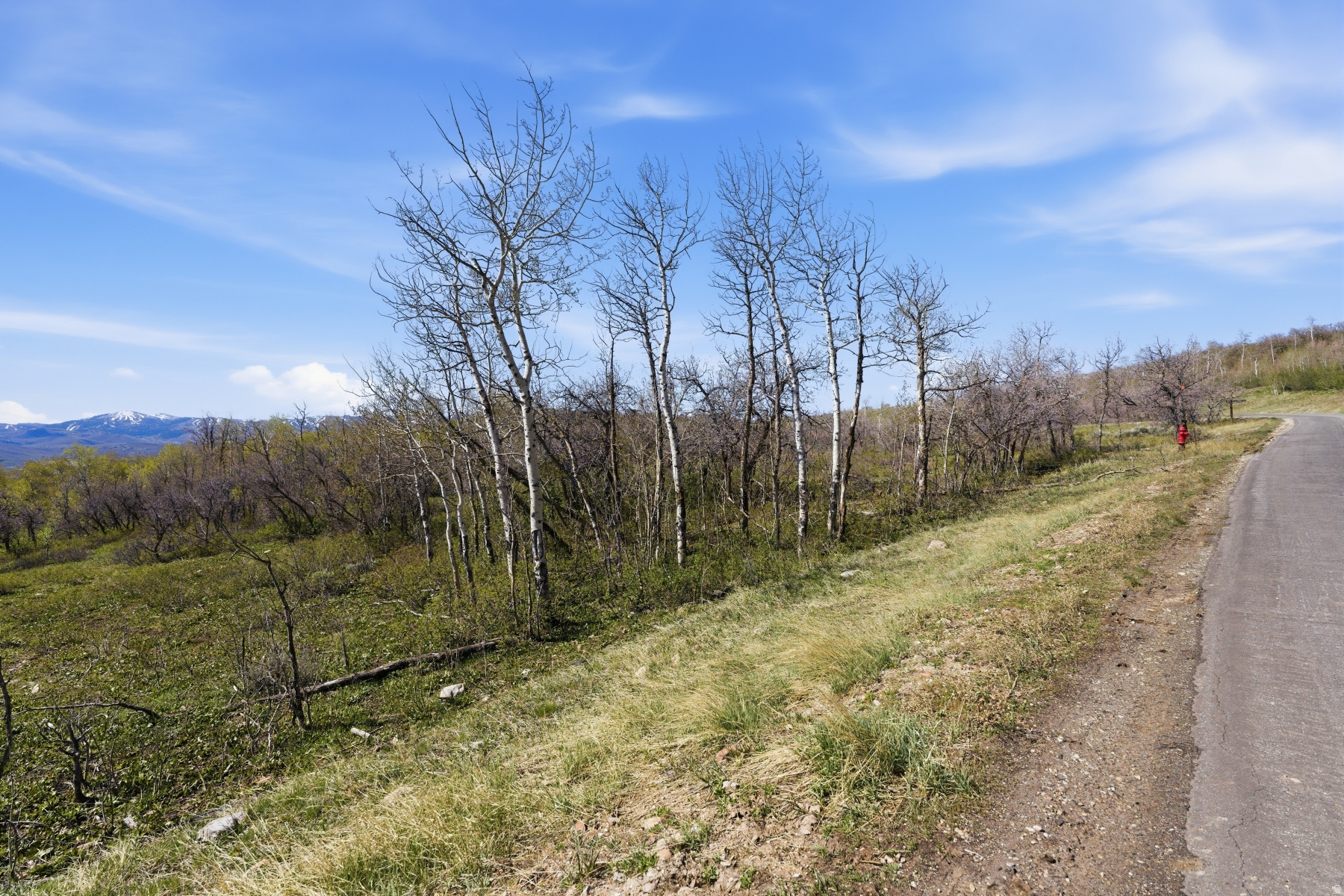 PRESERVE PHASE 3 SUBDIVISION - Land