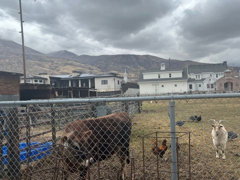 Tiny photo for 127 S 400 E, Lindon, UT 84042 (MLS # 2137141)