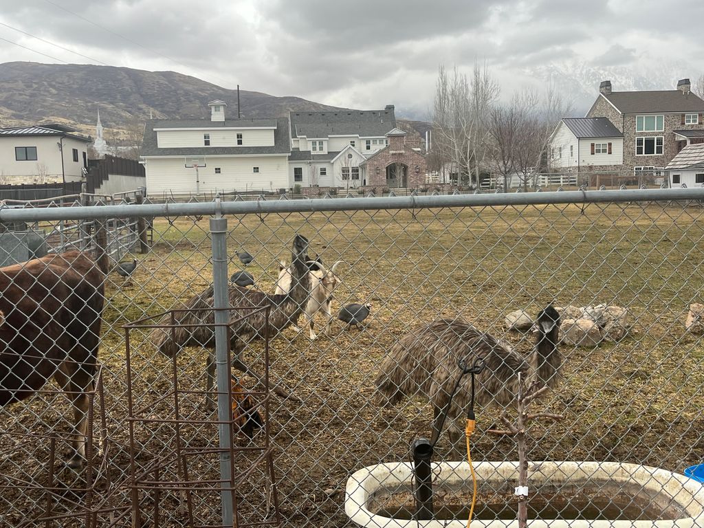 Photo of 127 S 400 E, Lindon, UT 84042 (MLS # 2137141)