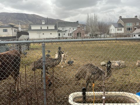 Tiny photo for 127 S 400 E, Lindon, UT 84042 (MLS # 2137141)