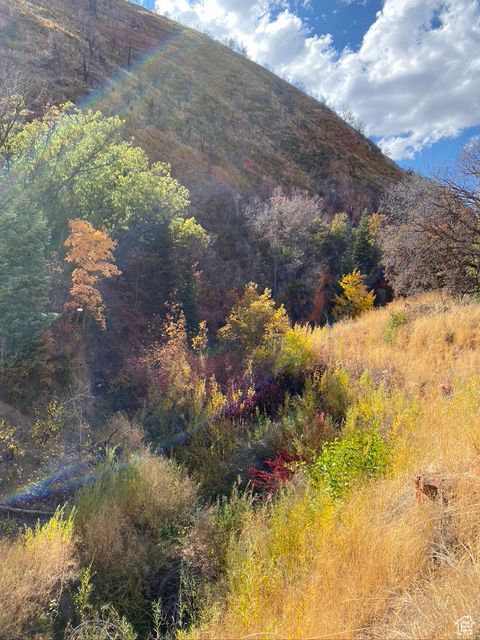 Tiny photo for 14272 S U S HWY 89 Hwy, Birdseye, UT 84629 (MLS # 2105208)