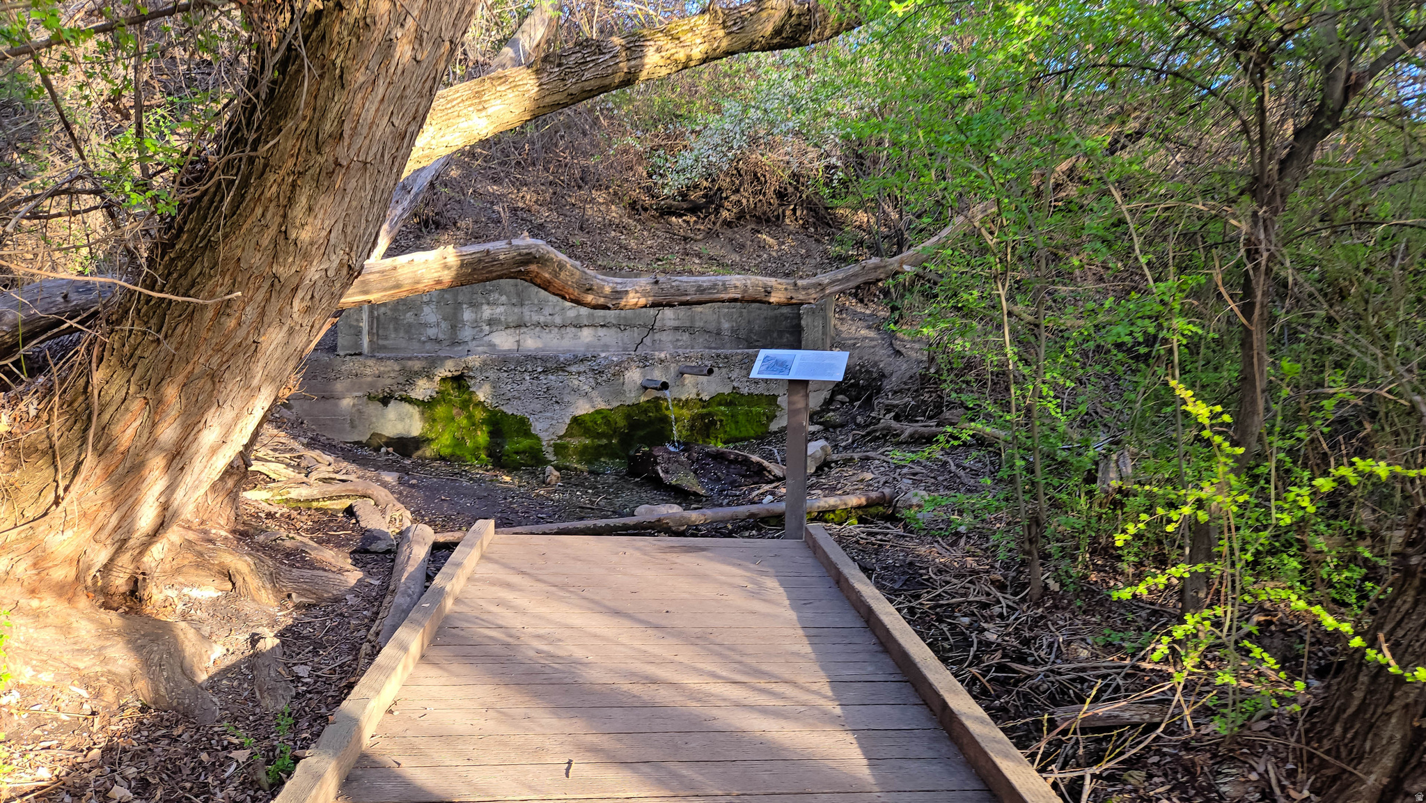 PIONEER PD - Residential