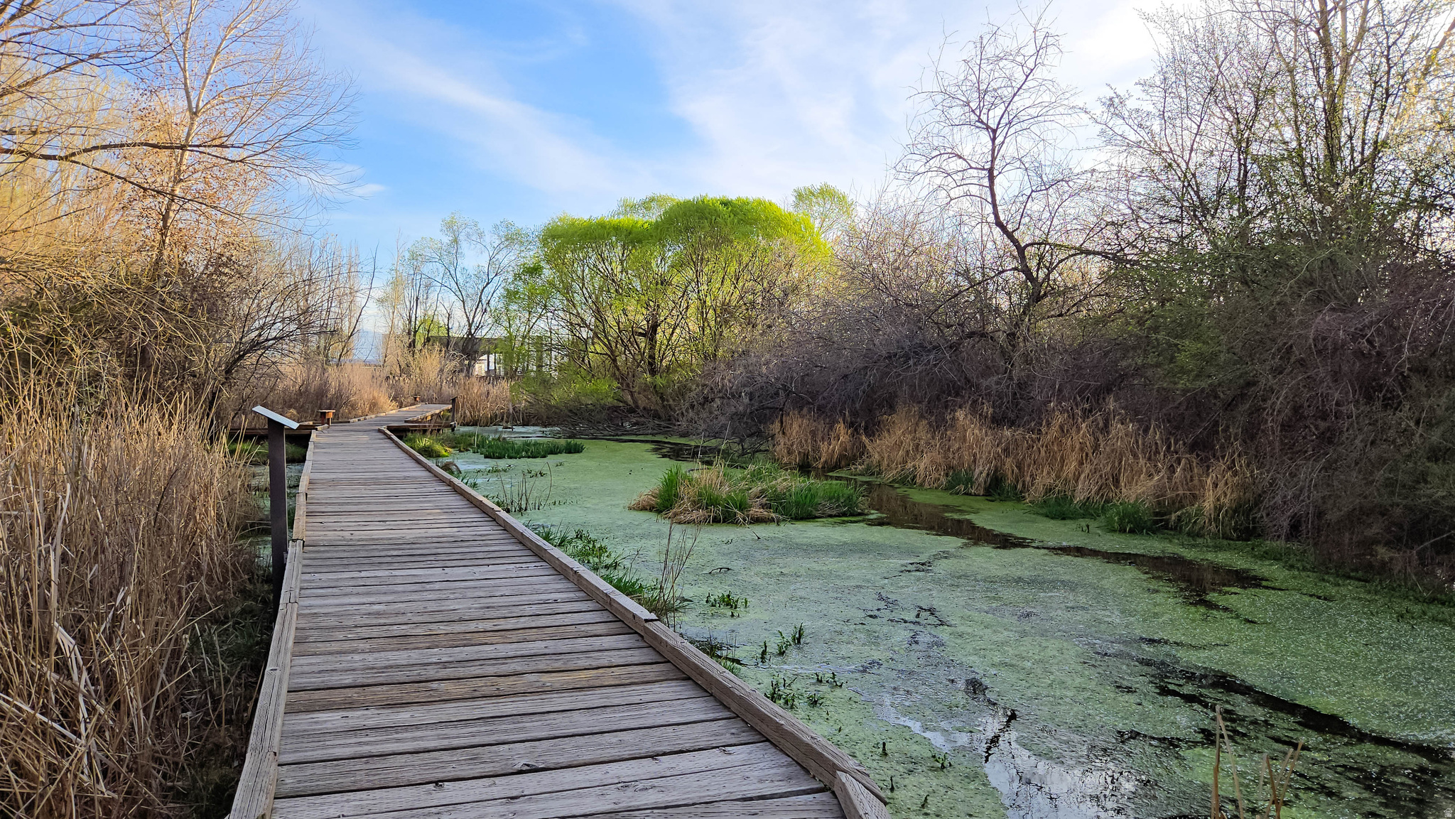 PIONEER PD - Residential