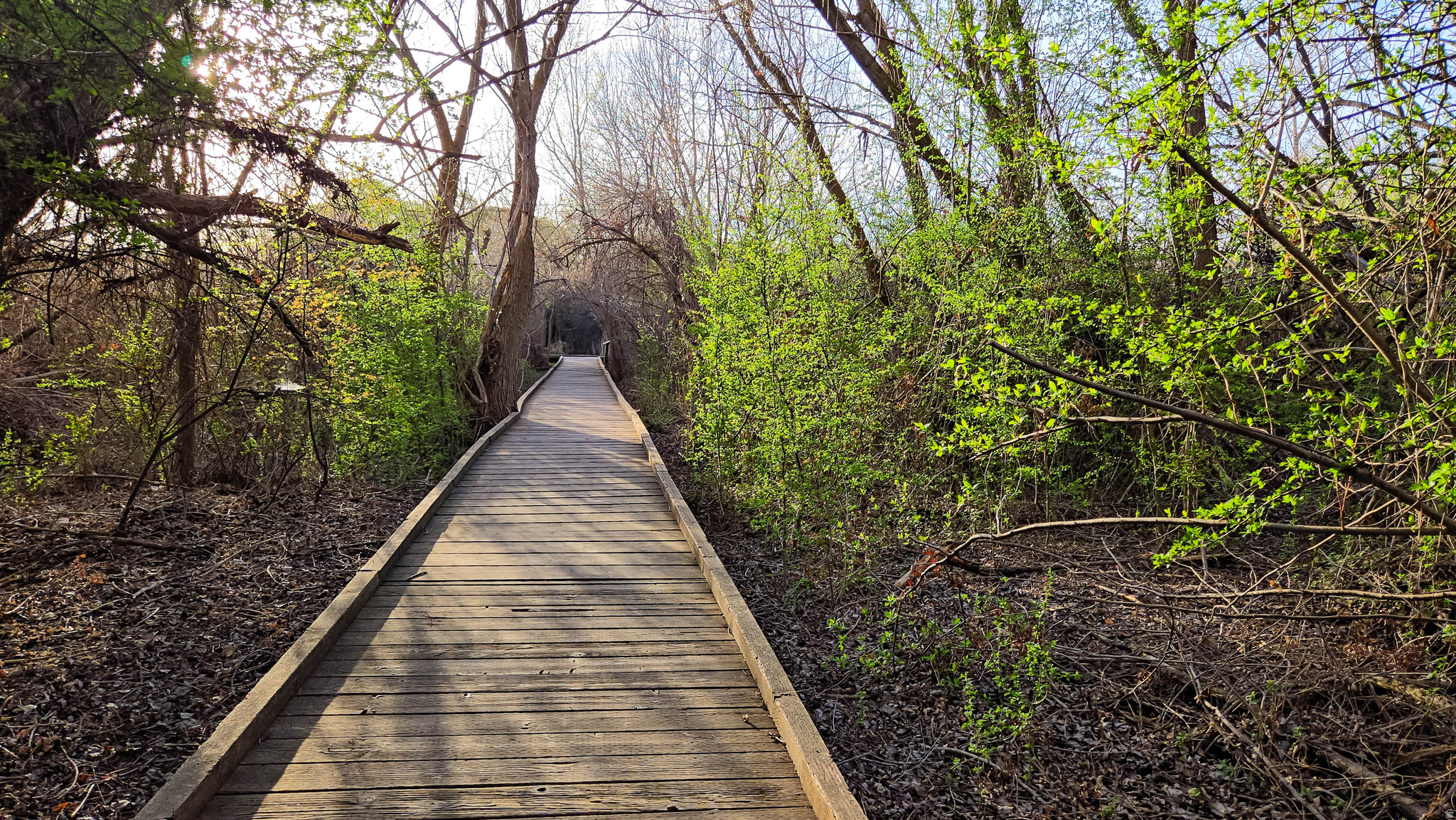 PIONEER PD - Residential