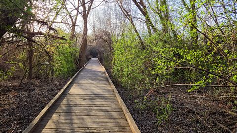 Tiny photo for 1483 E 1230 S, Provo, UT 84606 (MLS # 2150800)