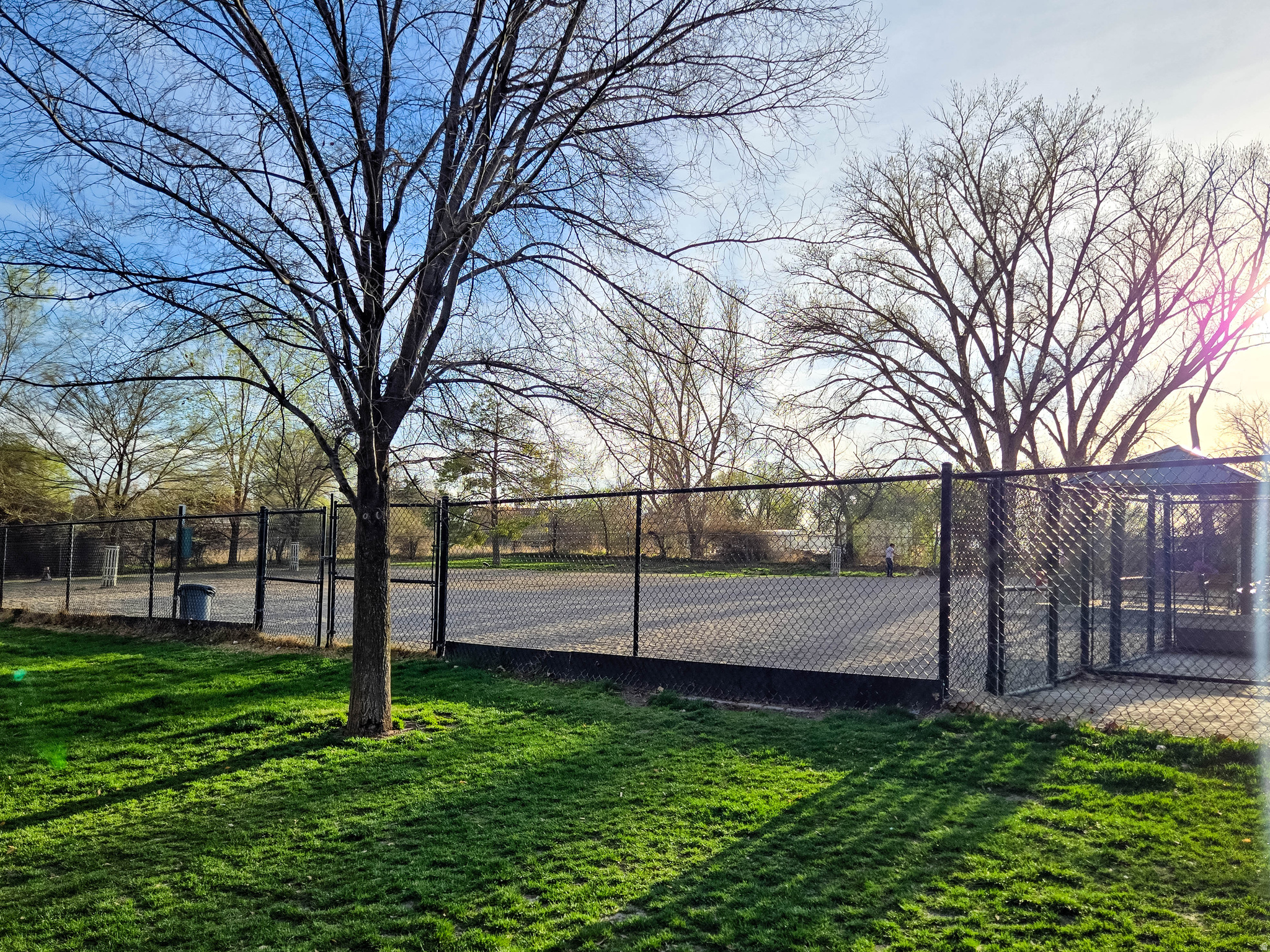 PIONEER PD - Residential