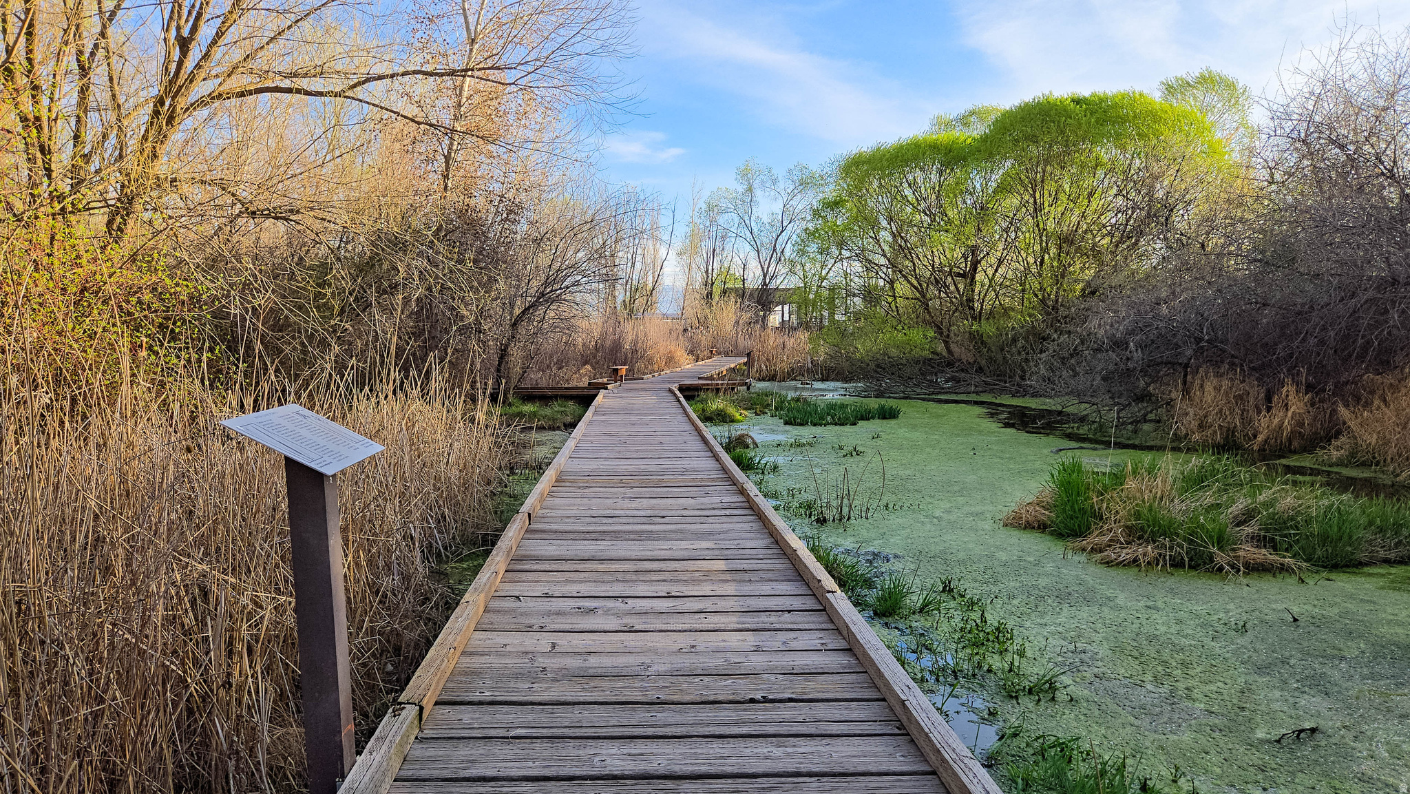 PIONEER PD - Residential