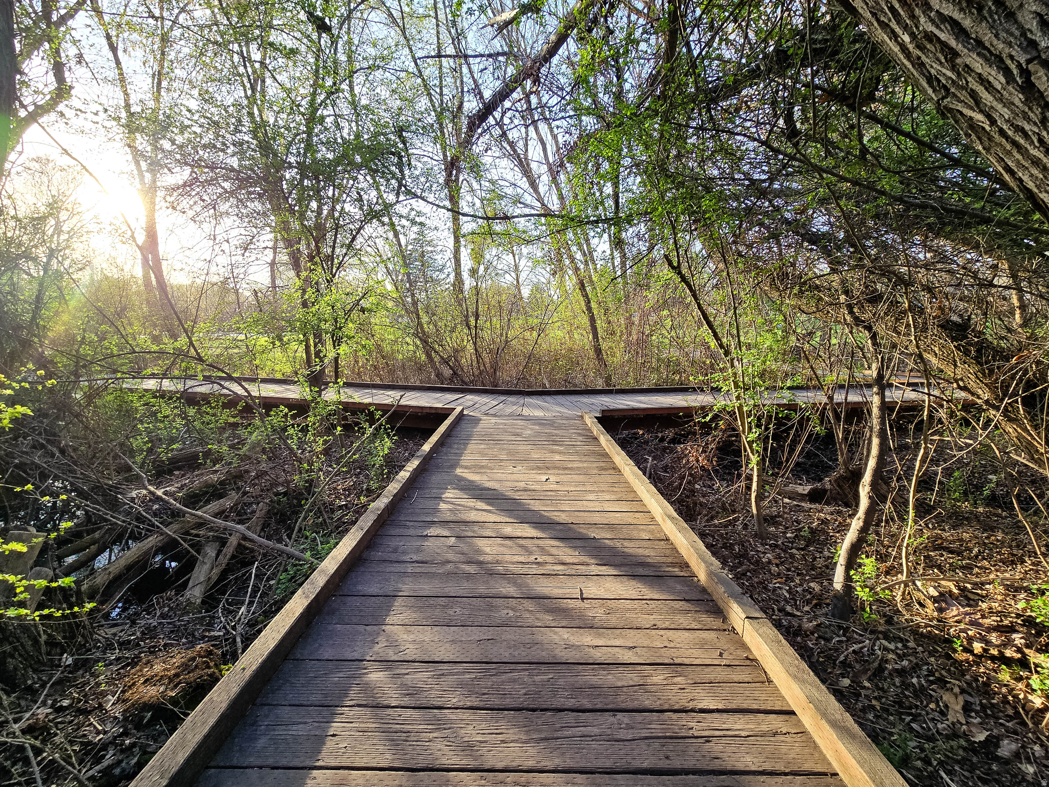 PIONEER PD - Residential