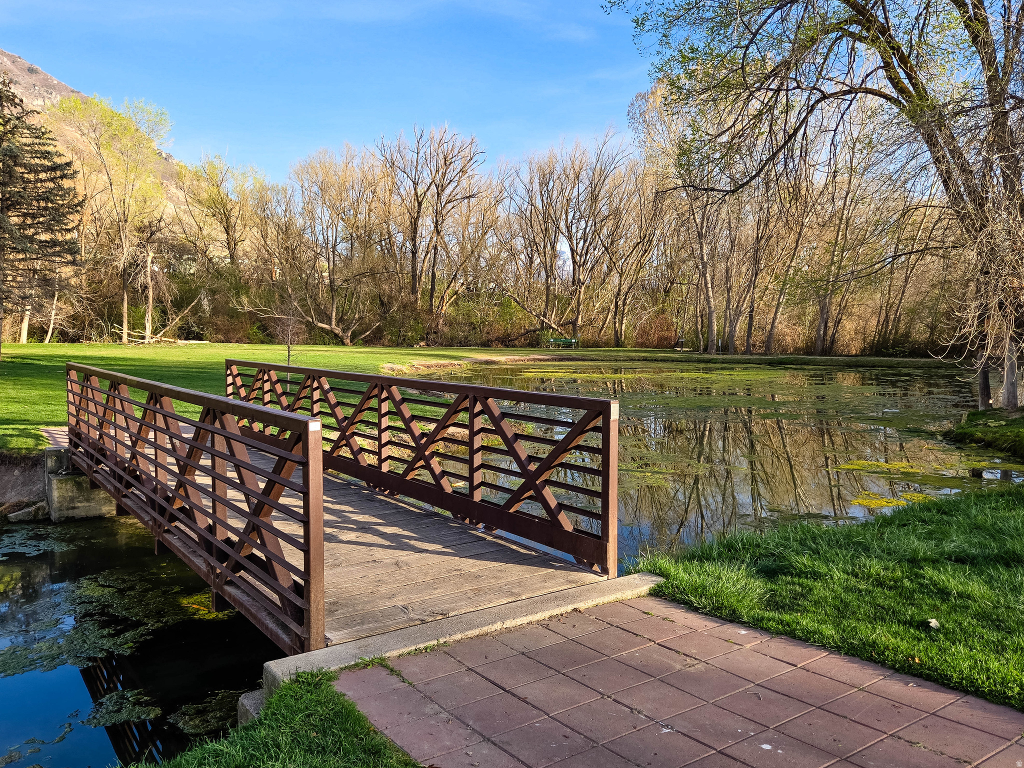 PIONEER PD - Residential