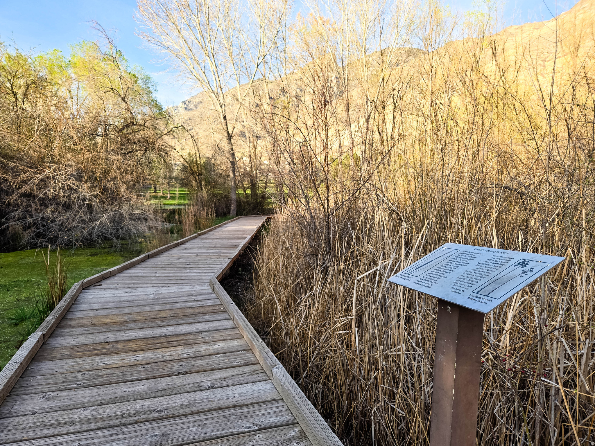 PIONEER PD - Residential