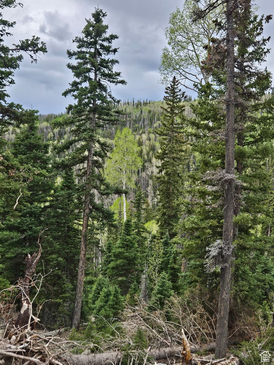 This beautiful mountain lot is located in the West Village subdivision at Eagle Point just a short distance from the ski resort. Water and power is available. It's a great location to build your cabin retreat with skiing in the winter and fishing and hiking in the warm months.