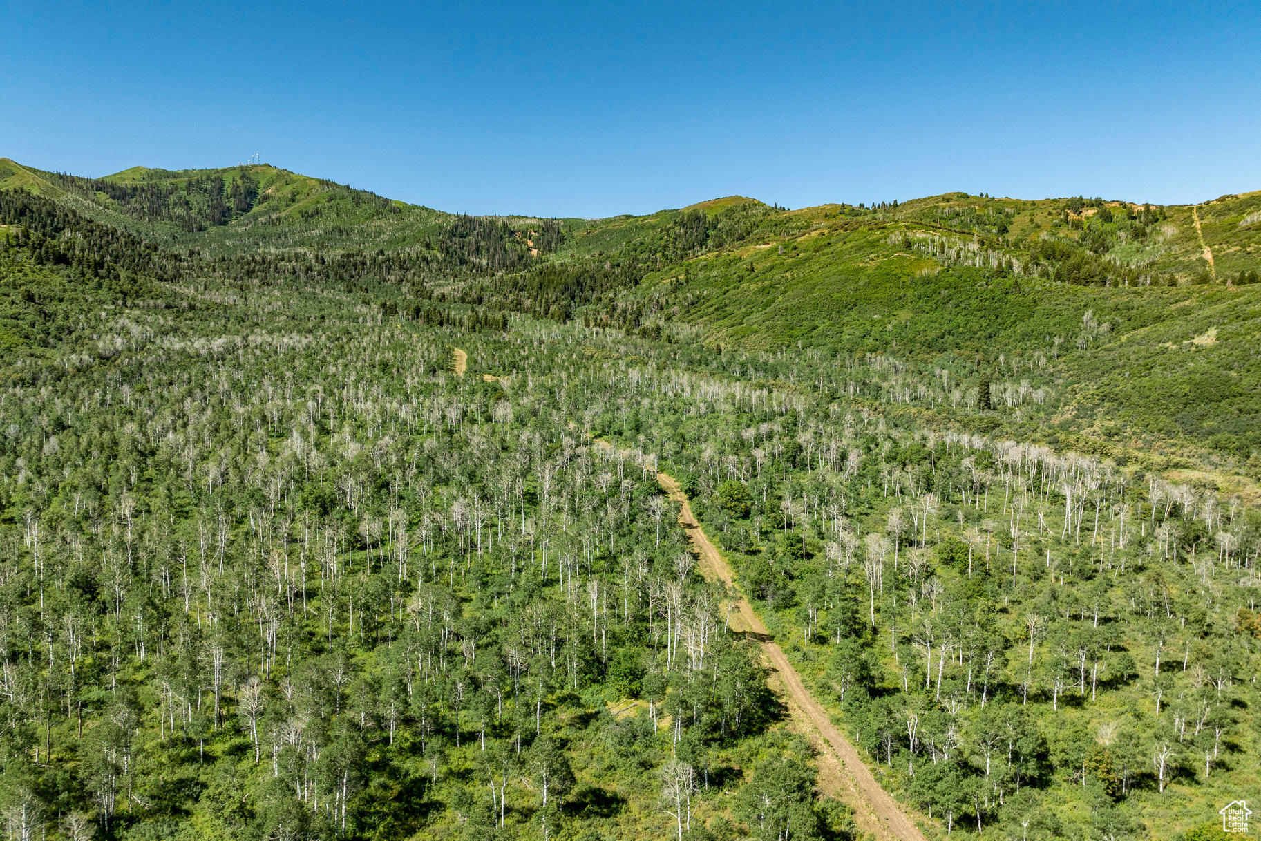 Land, Coalville, Utah image 39