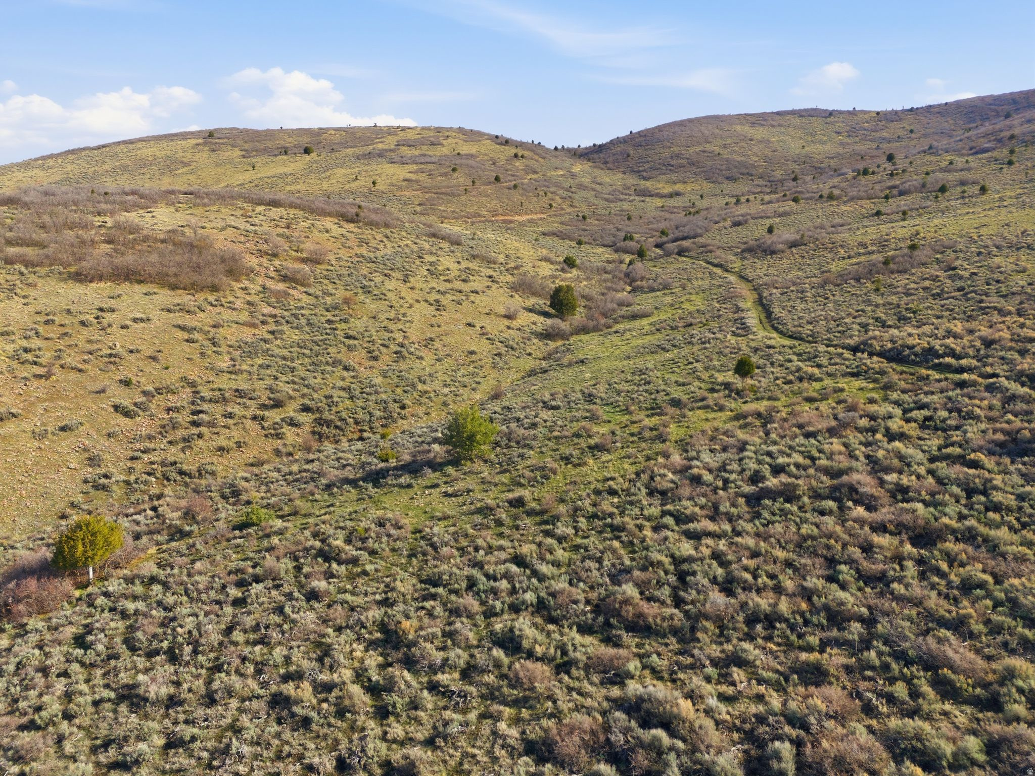 FOOTHILLS AT FRANCIS - Land