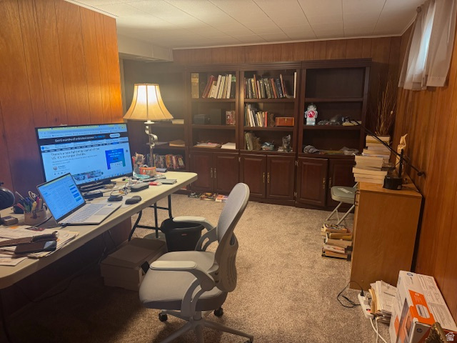 BLUE MOUNTAIN HEIGHTS SUBDIVISION - Residential