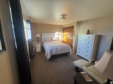 Tiny photo for 196 S BLUE DR, Monticello, UT 84535 (MLS # 2127854)