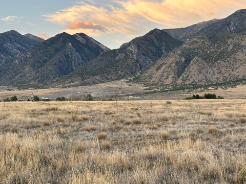 Tiny photo for 463 S 300 E, Mona, UT 84645 (MLS # 2180174)