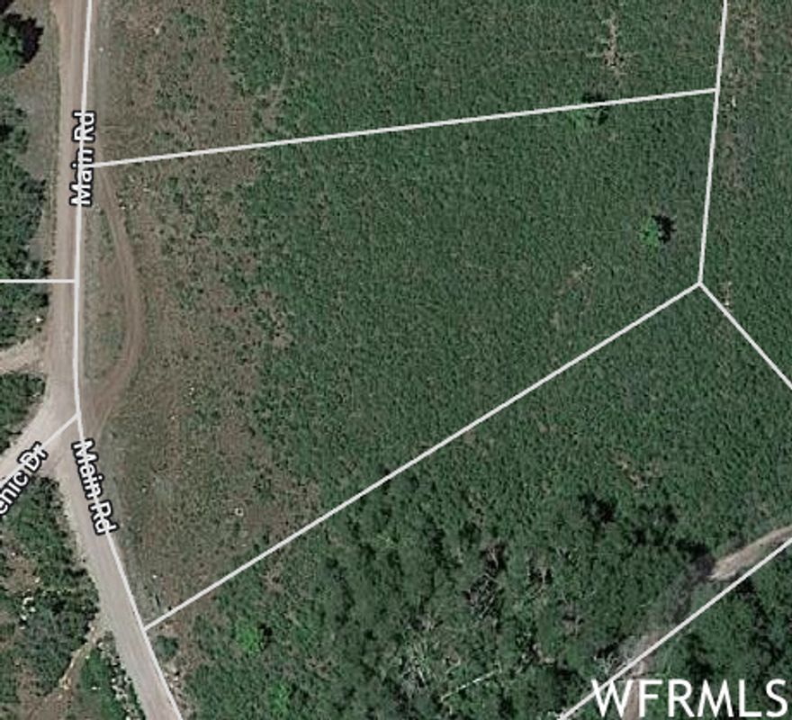Nice, flat .93 acre view lot in the Skyline Mtn gated Resort next to open area ready to start camping! Located high on the hill, this property has a beautiful 360 degree view.  Located near the "SMR Playground Area". This would be an easy lot to start using with hardly any work. HOA fees are only $60 a month, which gives you access to tennis courts, pavilions for gatherings, a pickle ball court, a swimming pool and a golf course! Each lot owner receives a $60 punch-pass per year for golfing and swimming plus member pricing. This area has so many options for outdoor activities including hiking, camping, and four wheeling. During the winter months, snowmobiles are needed for access. Utilities: Sewer not available- septic tank would need to be installed if desired. Water is hauled in from a central filling station about 1 mile away. Power is available but not connected. Seller also owns J-7 just South of the common area MLS# 1784446.