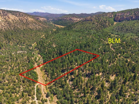 Vacant Land For Sale - #1E<br/> Orderville, UT 84758