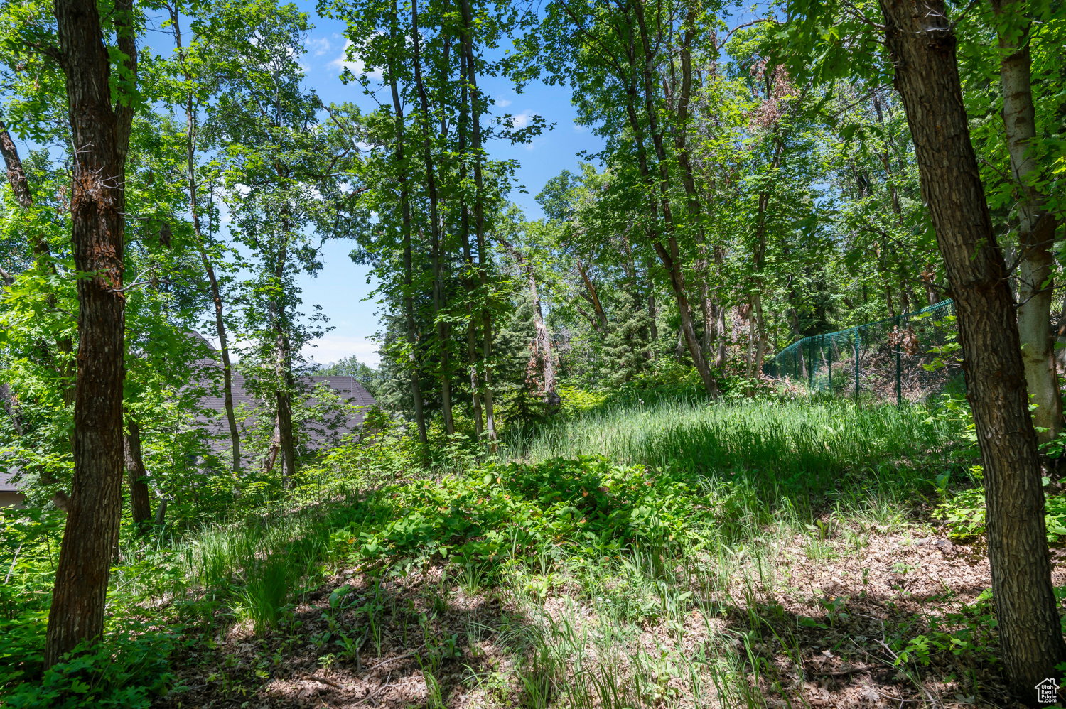 WOODLAND HILLS - Residential