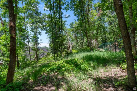 Tiny photo for 1190 S EAGLENEST DR, Woodland Hills, UT 84653 (MLS # 2060689)