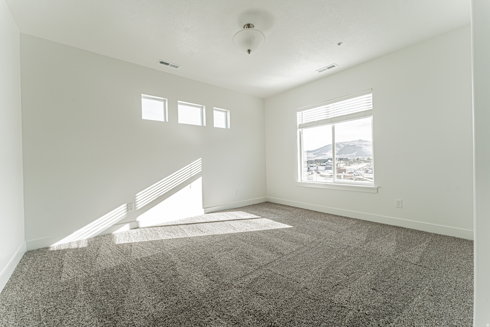 MT. RAINIER - Residential