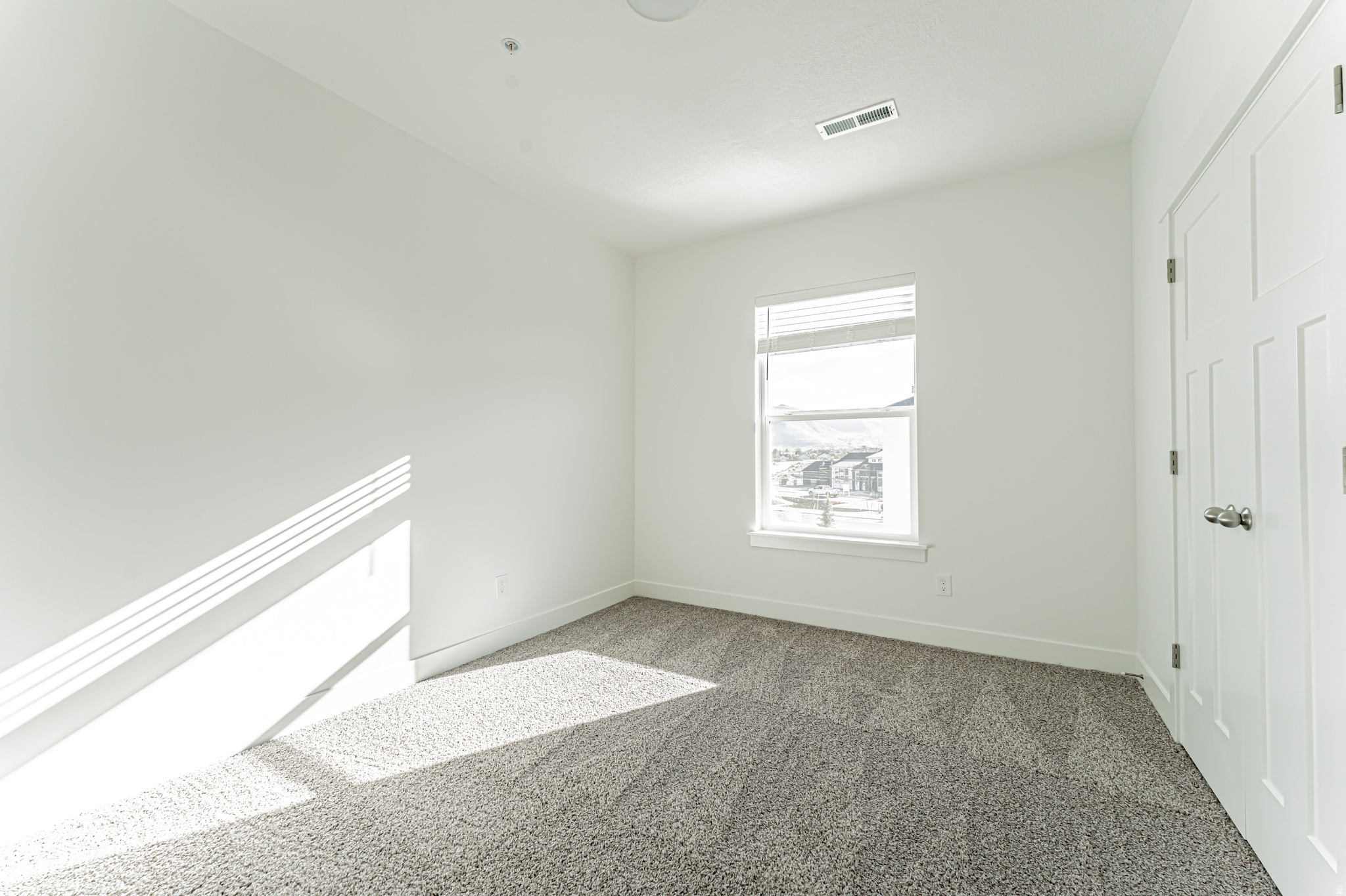 MT. RAINIER - Residential