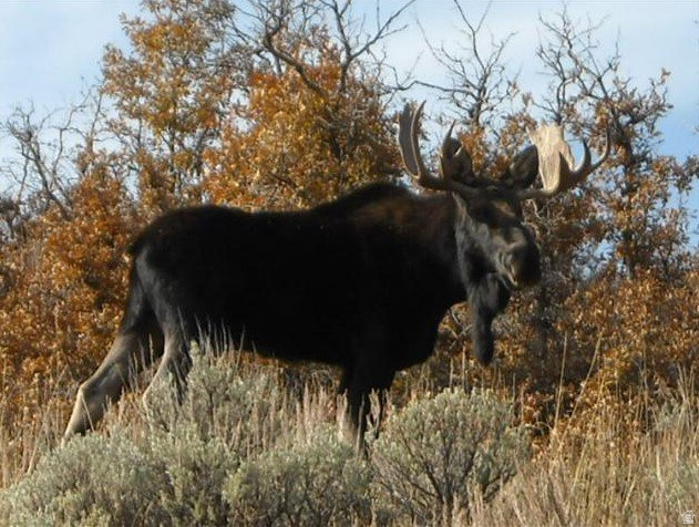 ECHO CREEK RANCHES - Land