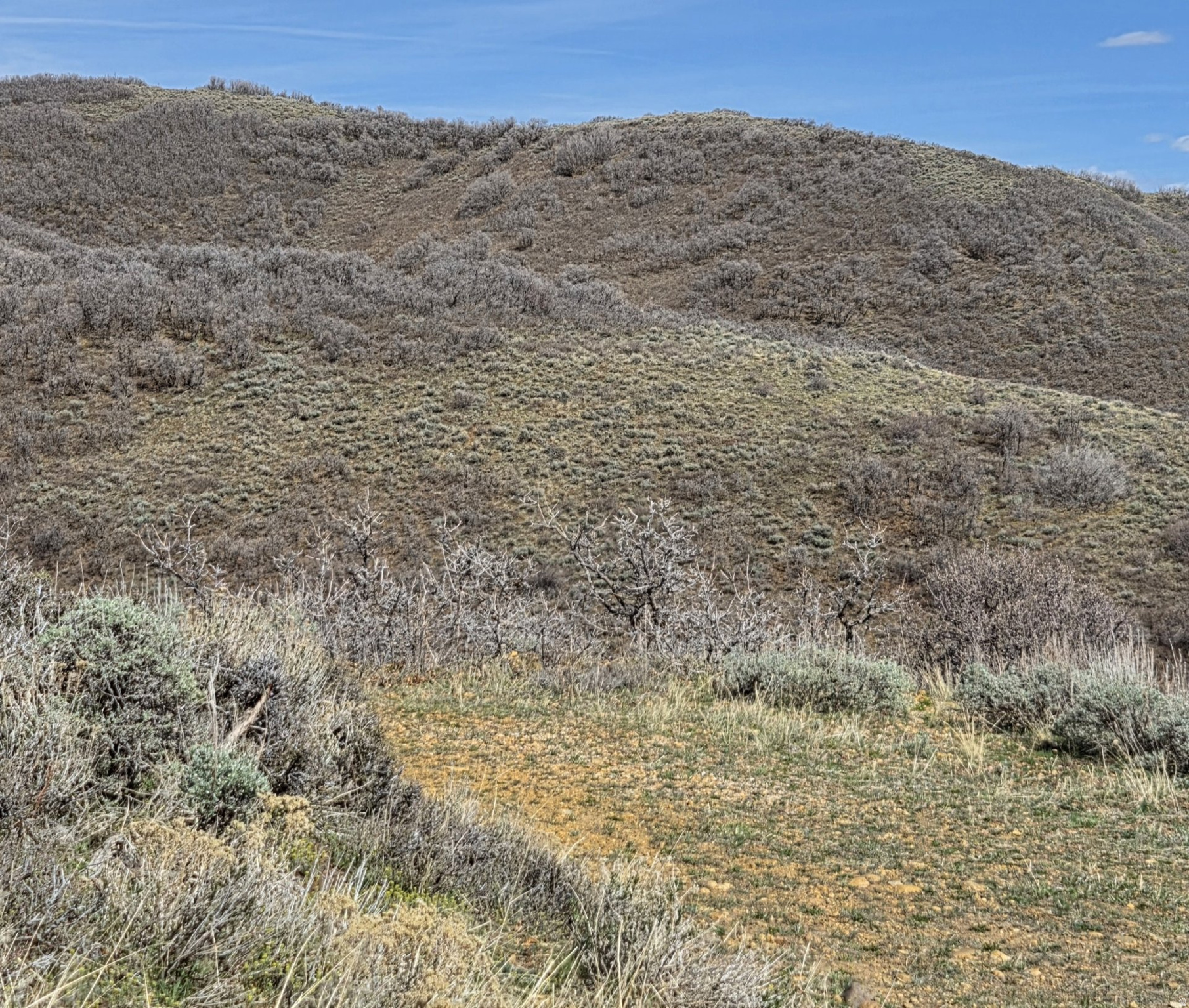 ECHO CREEK RANCHES - Land