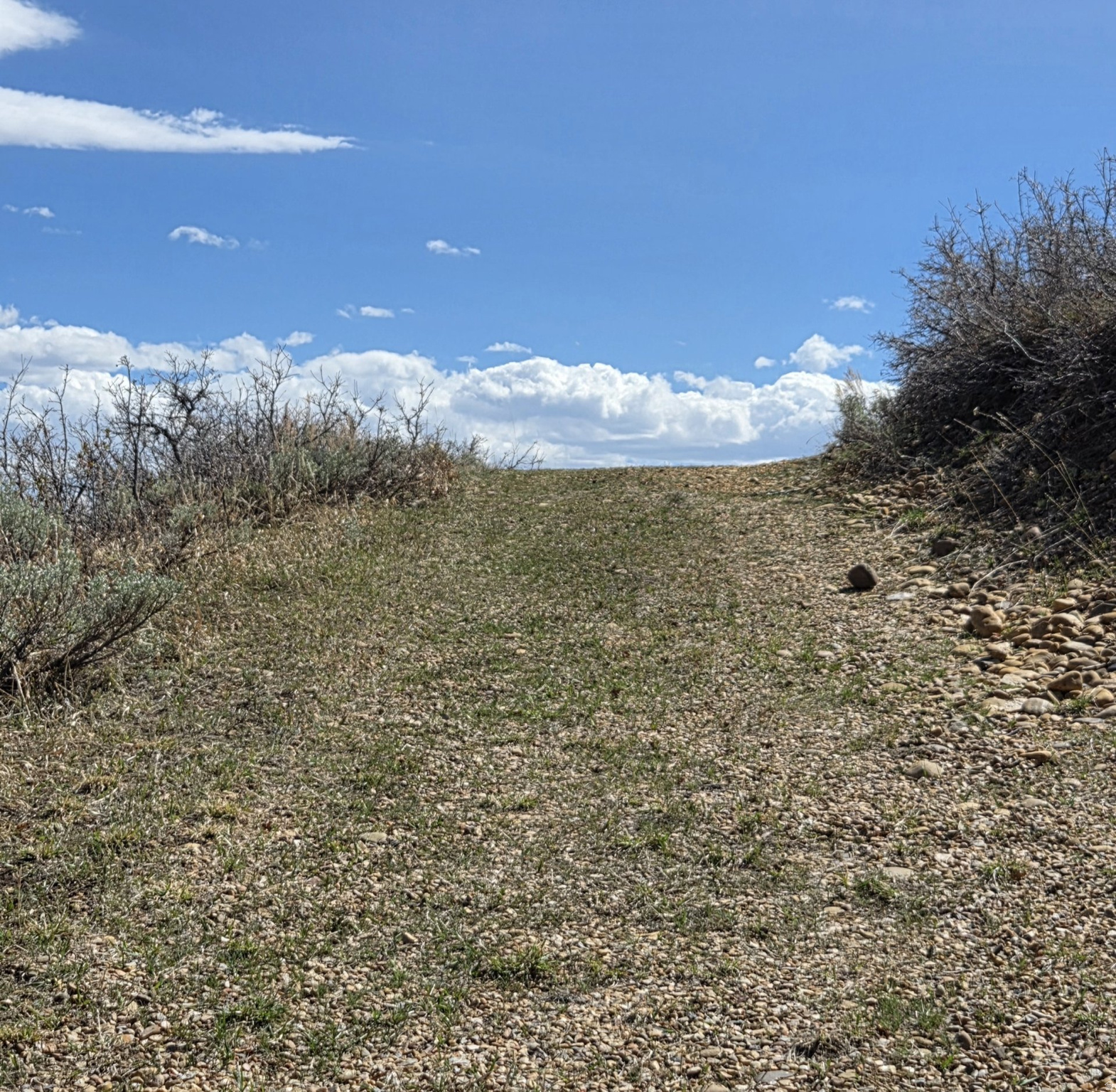 ECHO CREEK RANCHES - Land