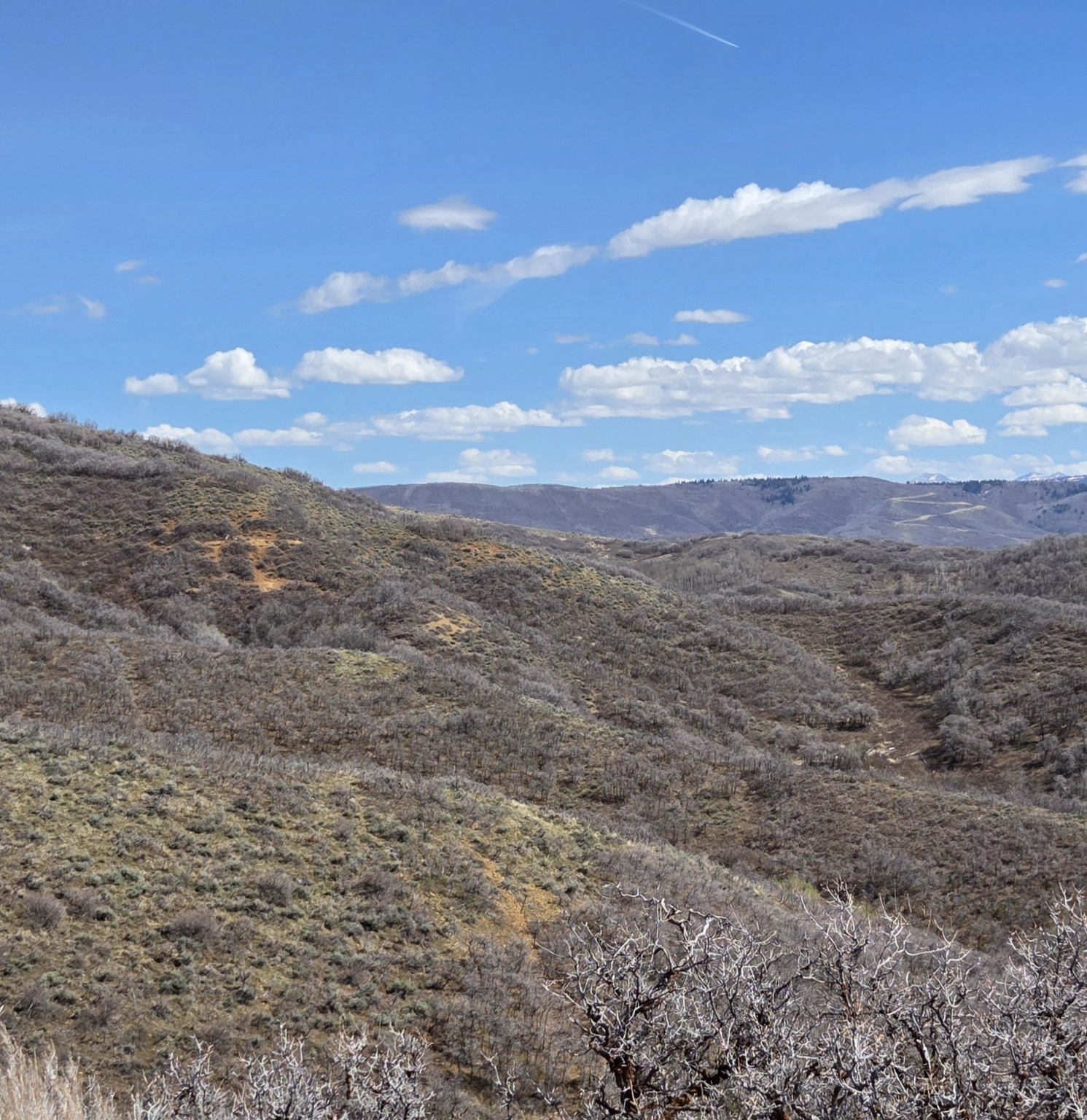 ECHO CREEK RANCHES - Land