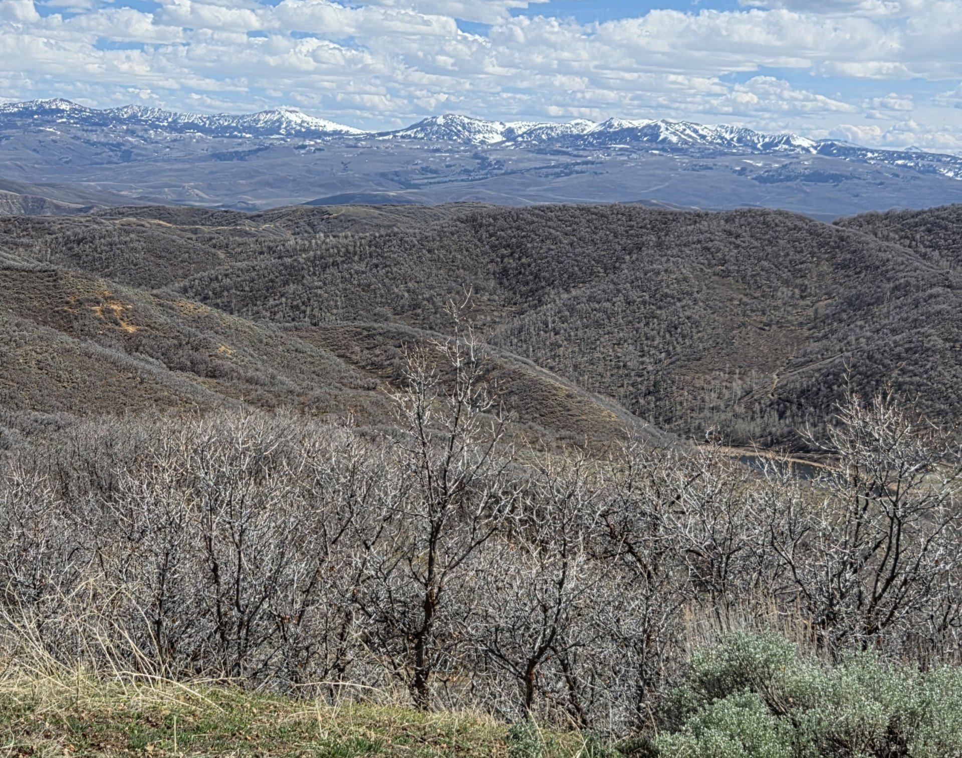 ECHO CREEK RANCHES - Land