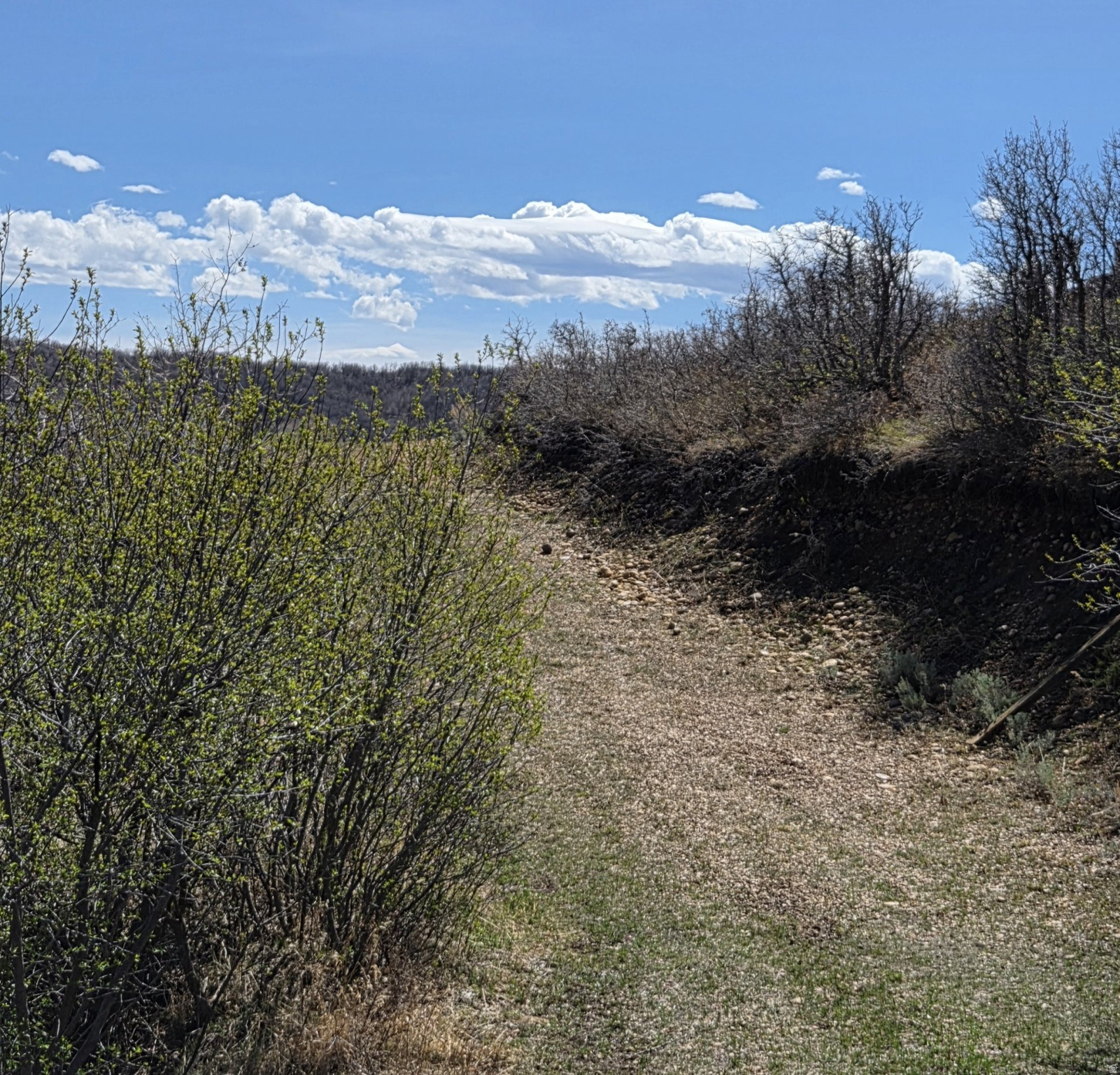 ECHO CREEK RANCHES - Land