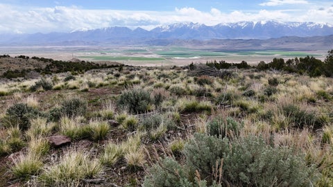 Vacant Land For Sale - 123 W Tbd Willow Spring Rd<br/> Goshen, UT 84633
