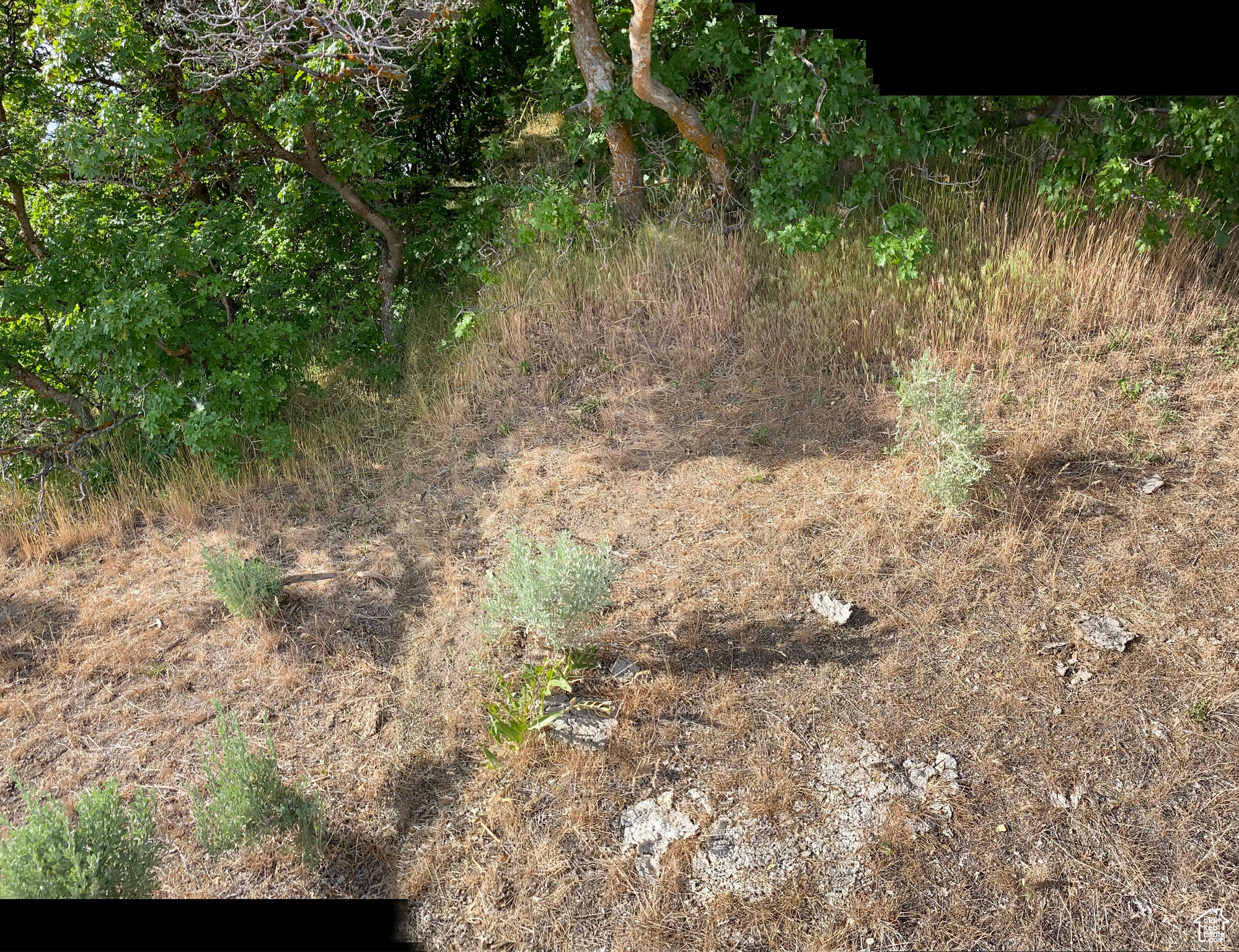 640 N 2800, Preston, Idaho image 10