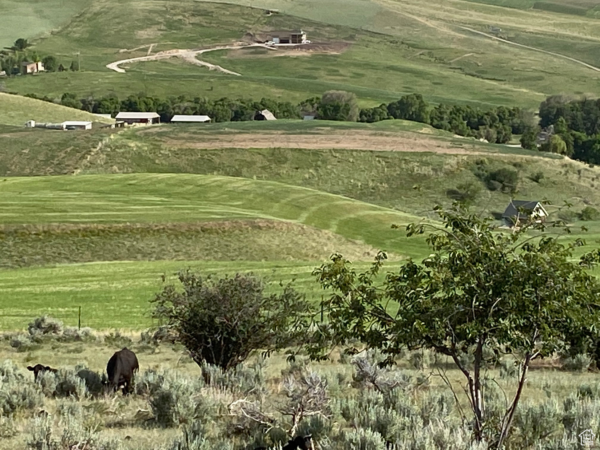640 N 2800, Preston, Idaho image 3