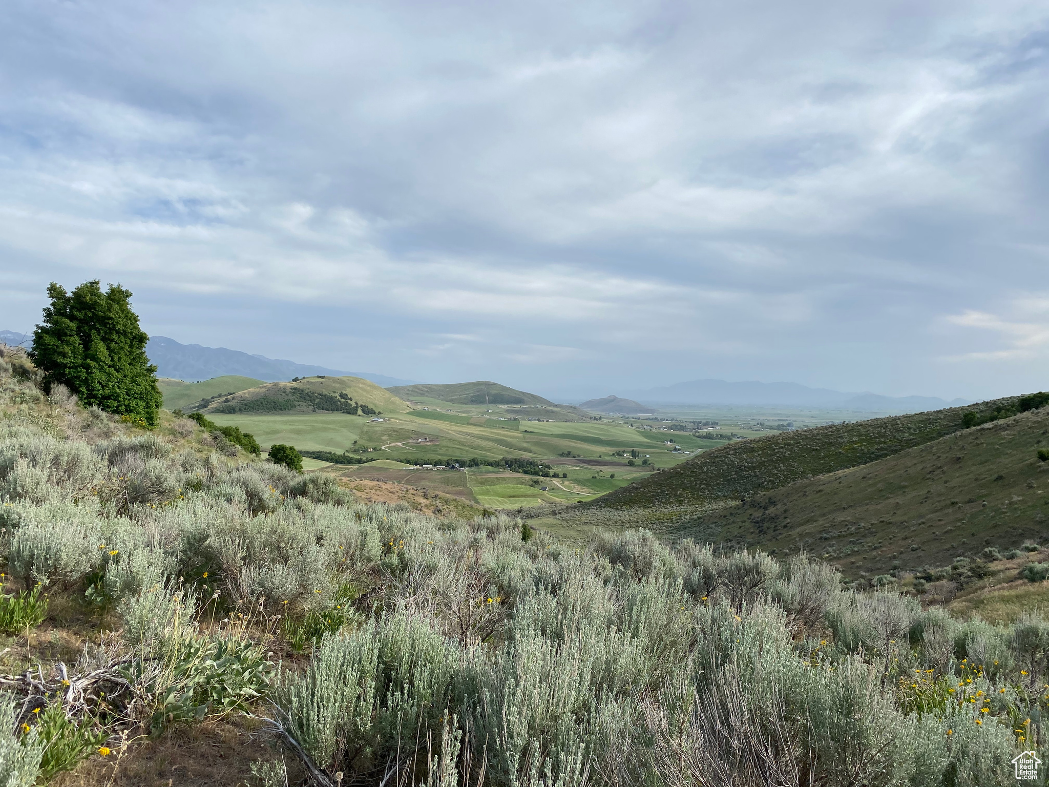 640 N 2800, Preston, Idaho image 14