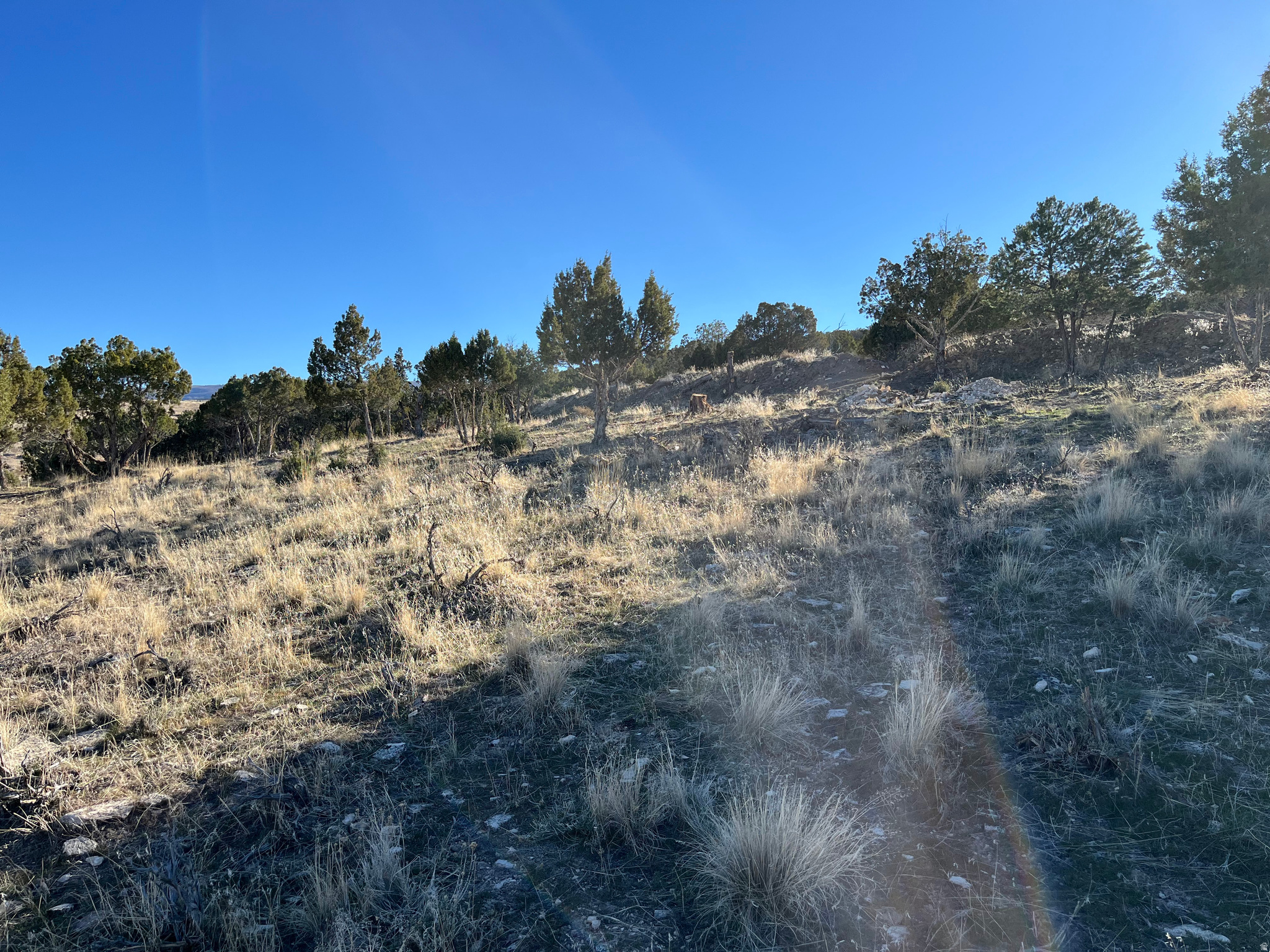 SOUTHFIELD HEIGHTS - Land