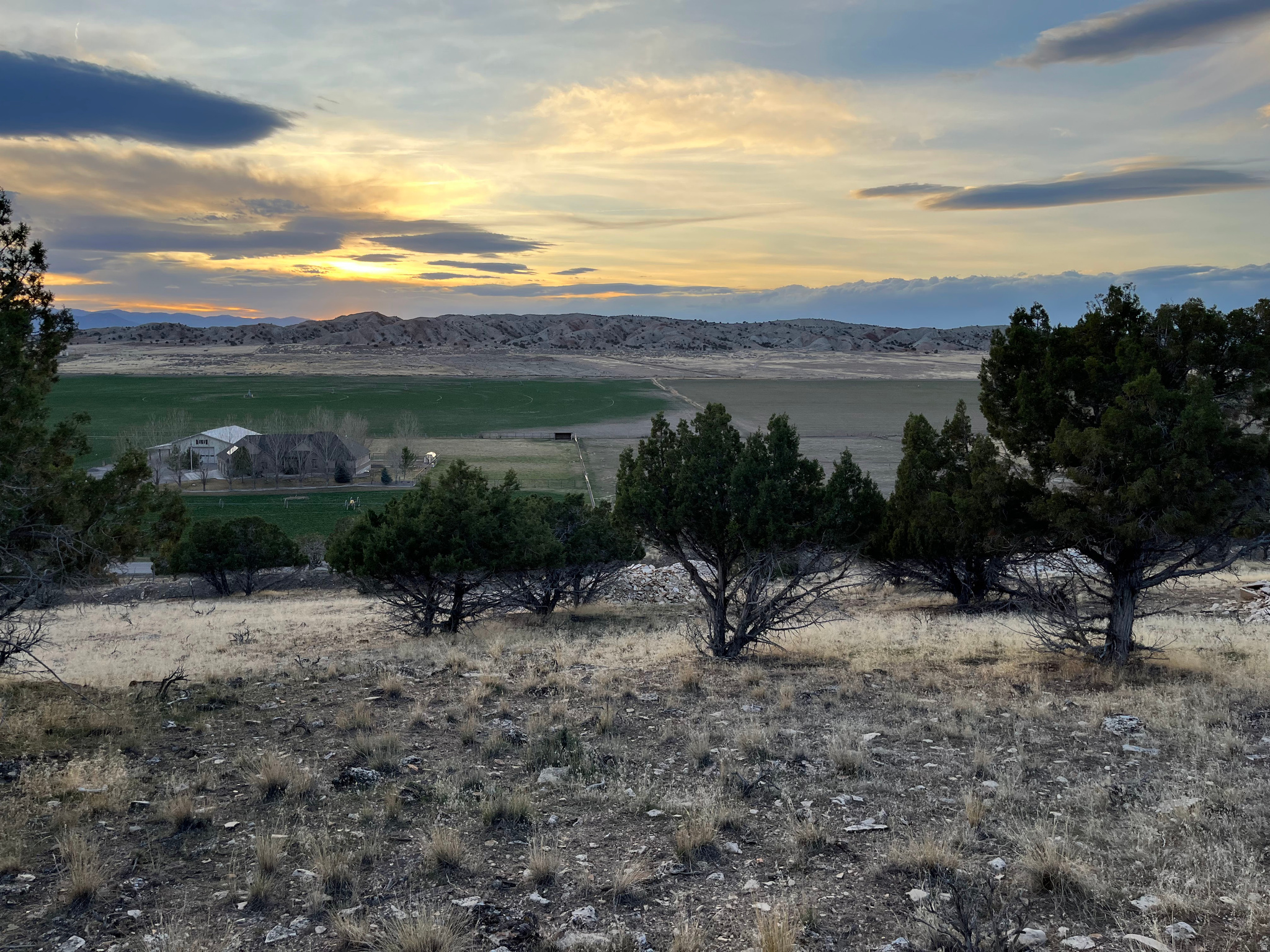 SOUTHFIELD HEIGHTS - Land