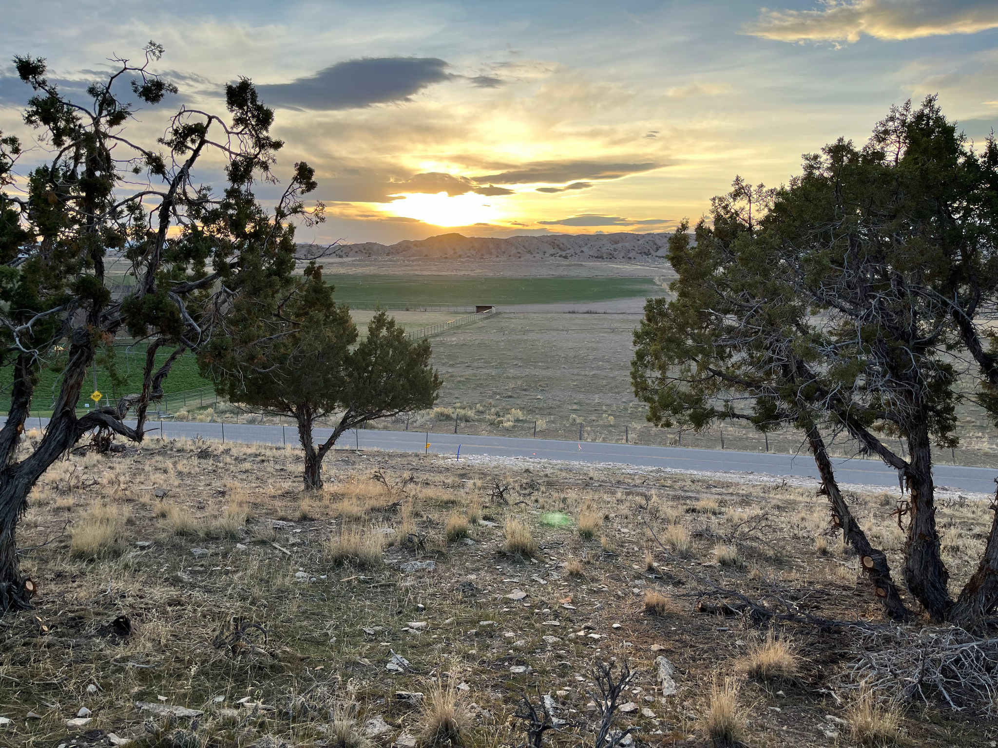 SOUTHFIELD HEIGHTS - Land