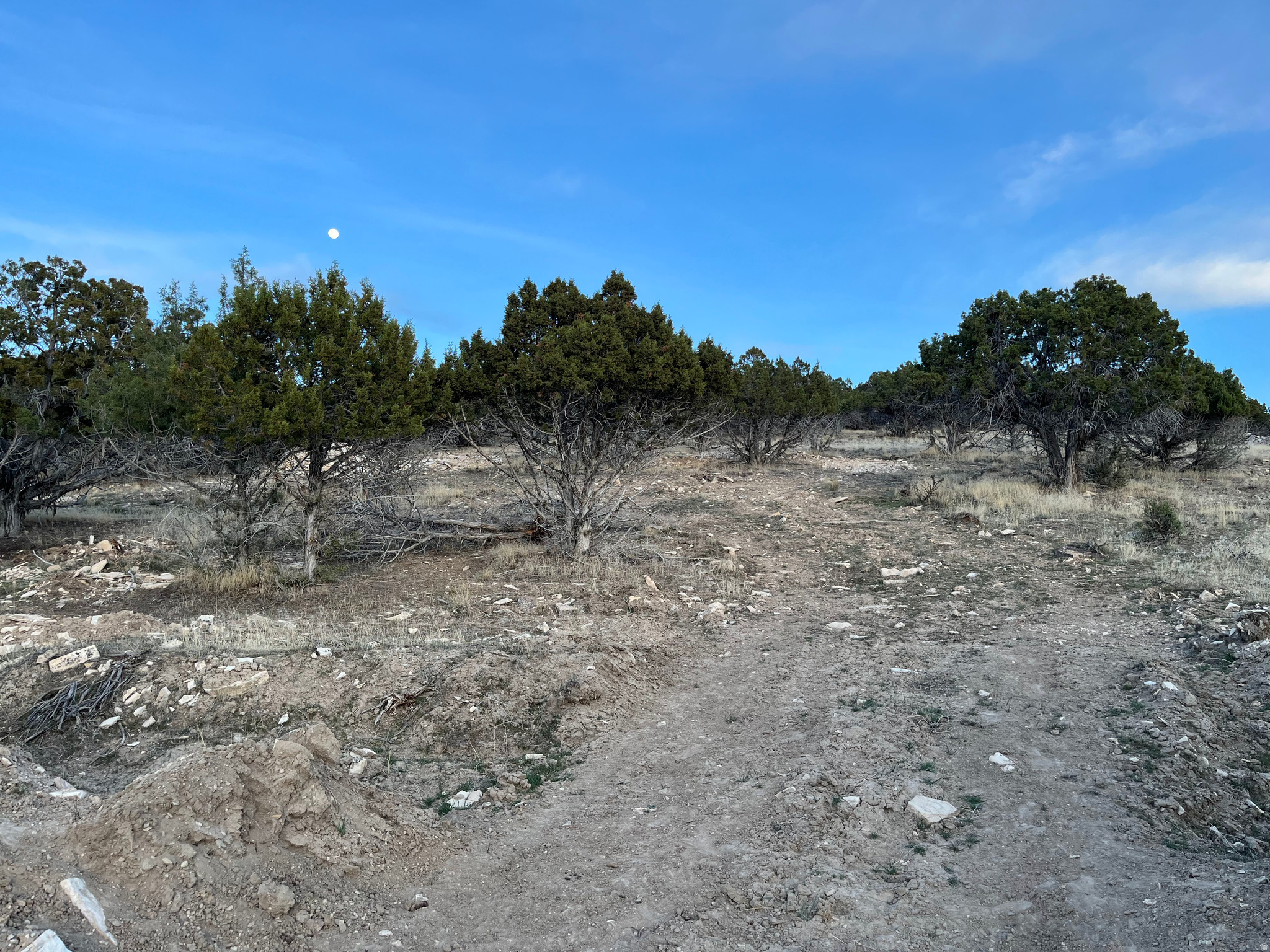 SOUTHFIELD HEIGHTS - Land