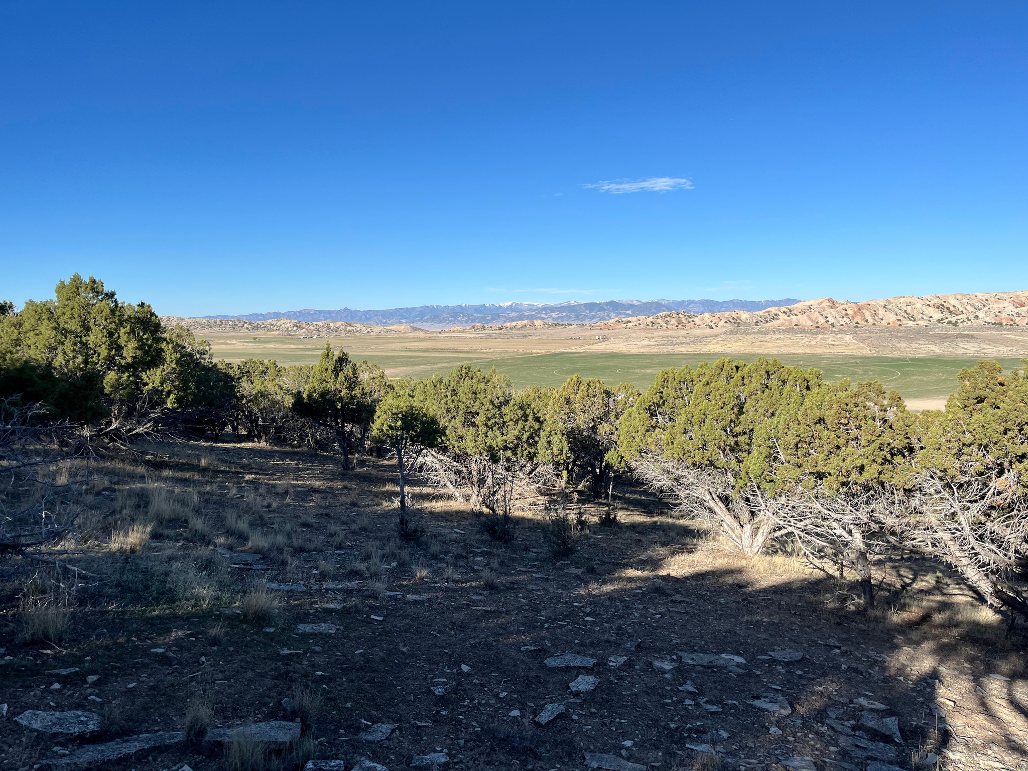 SOUTHFIELD HEIGHTS - Land