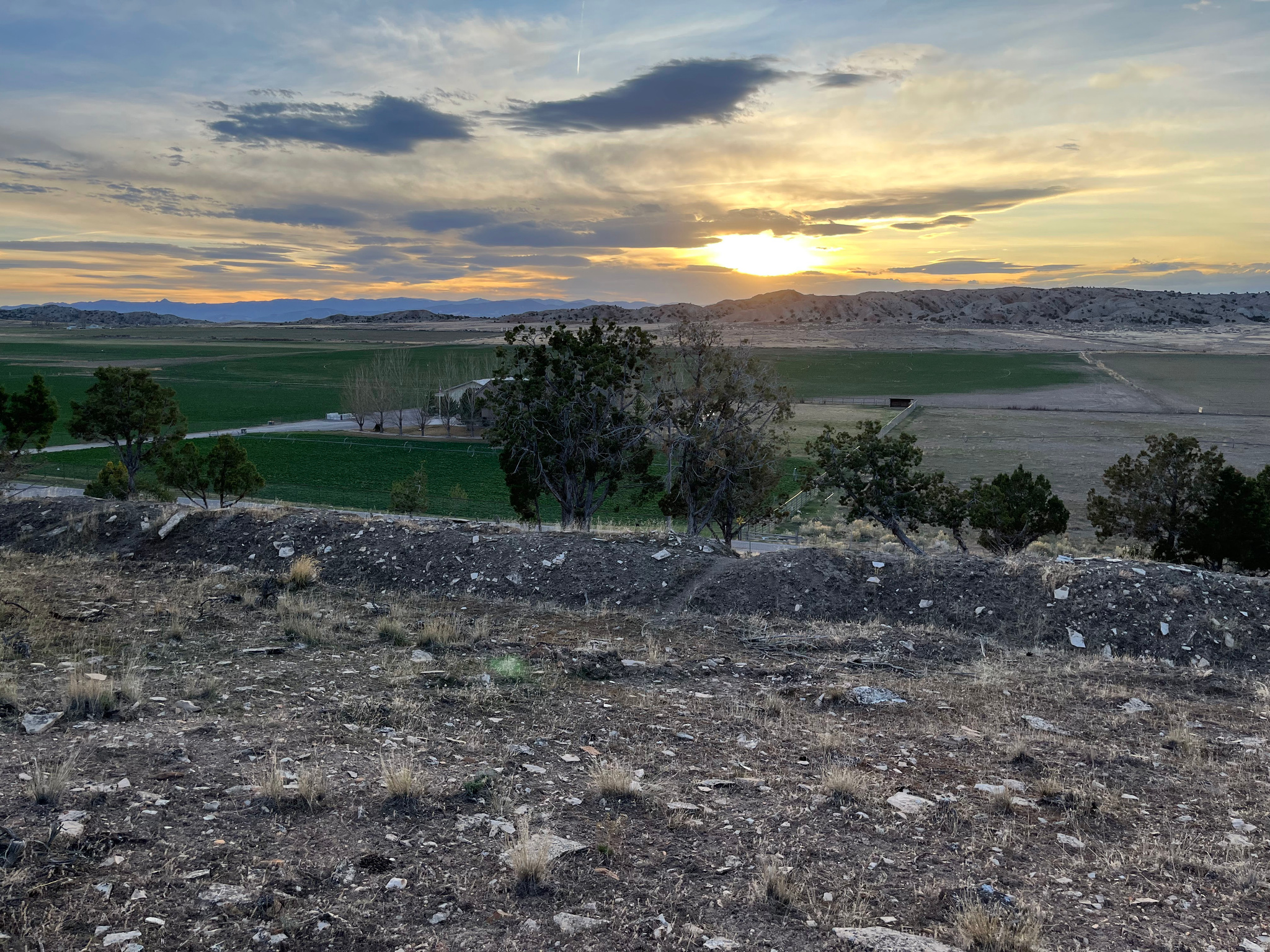 SOUTHFIELD HEIGHTS - Land