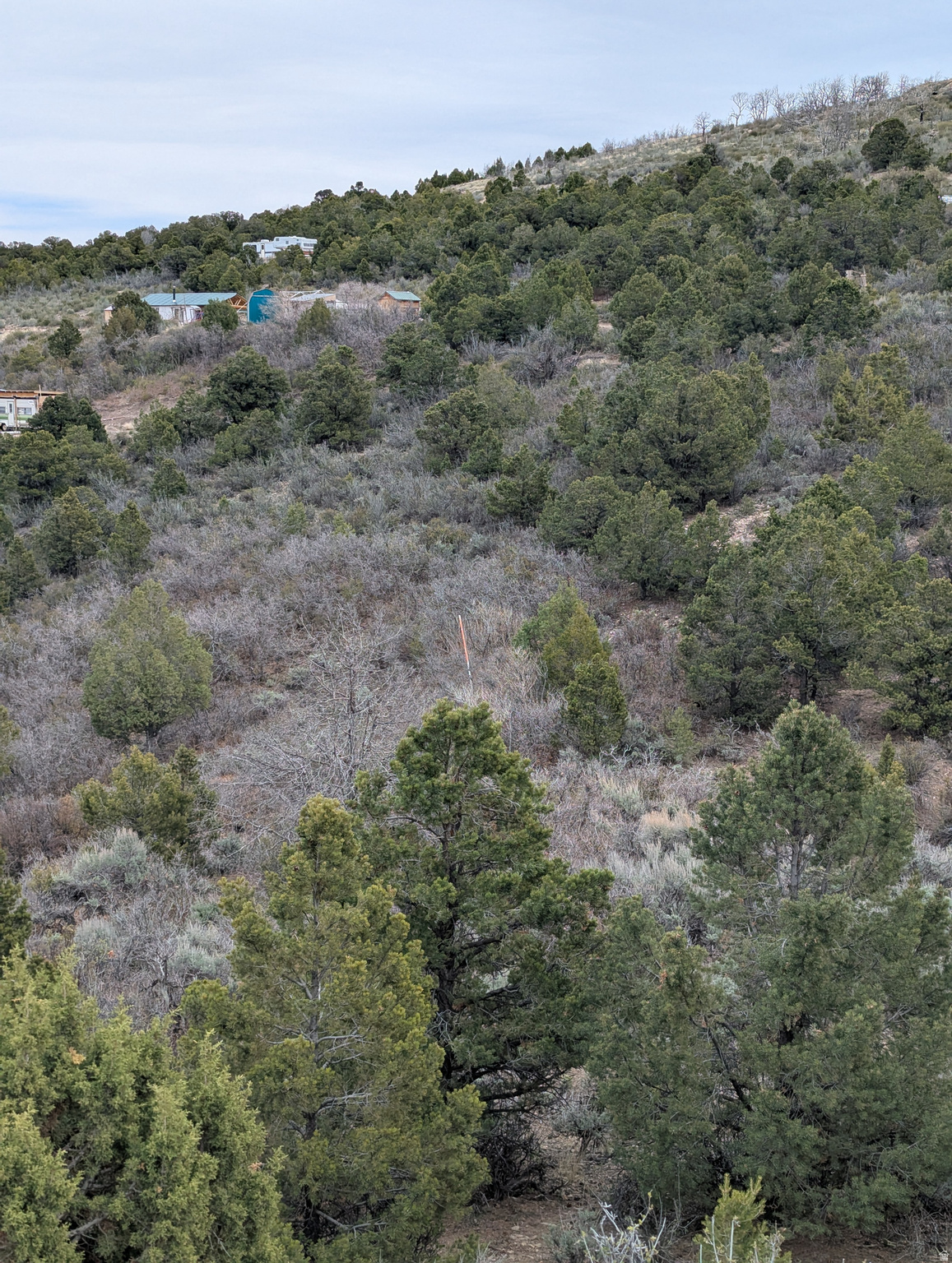 STRAWBERRY PROPERTIES - Land