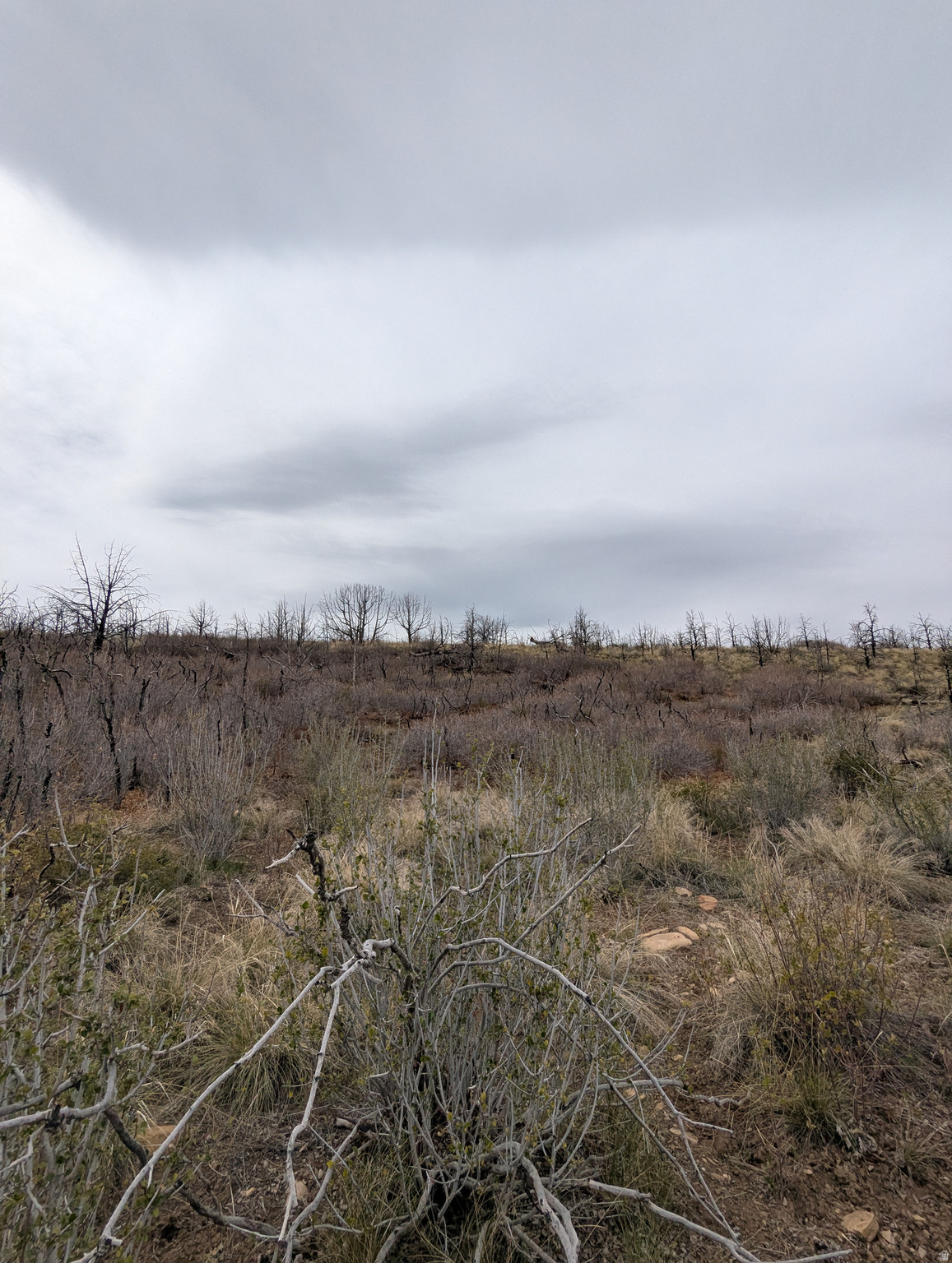 STRAWBERRY PROPERTIES - Land