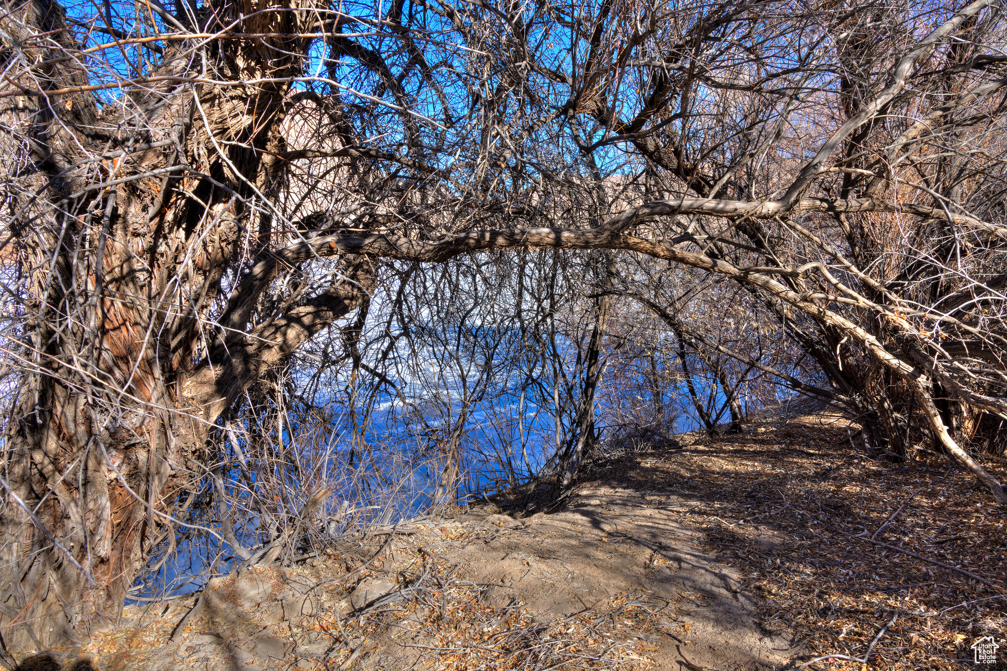 5035 N Hastings Rd, Green River, Utah image 22