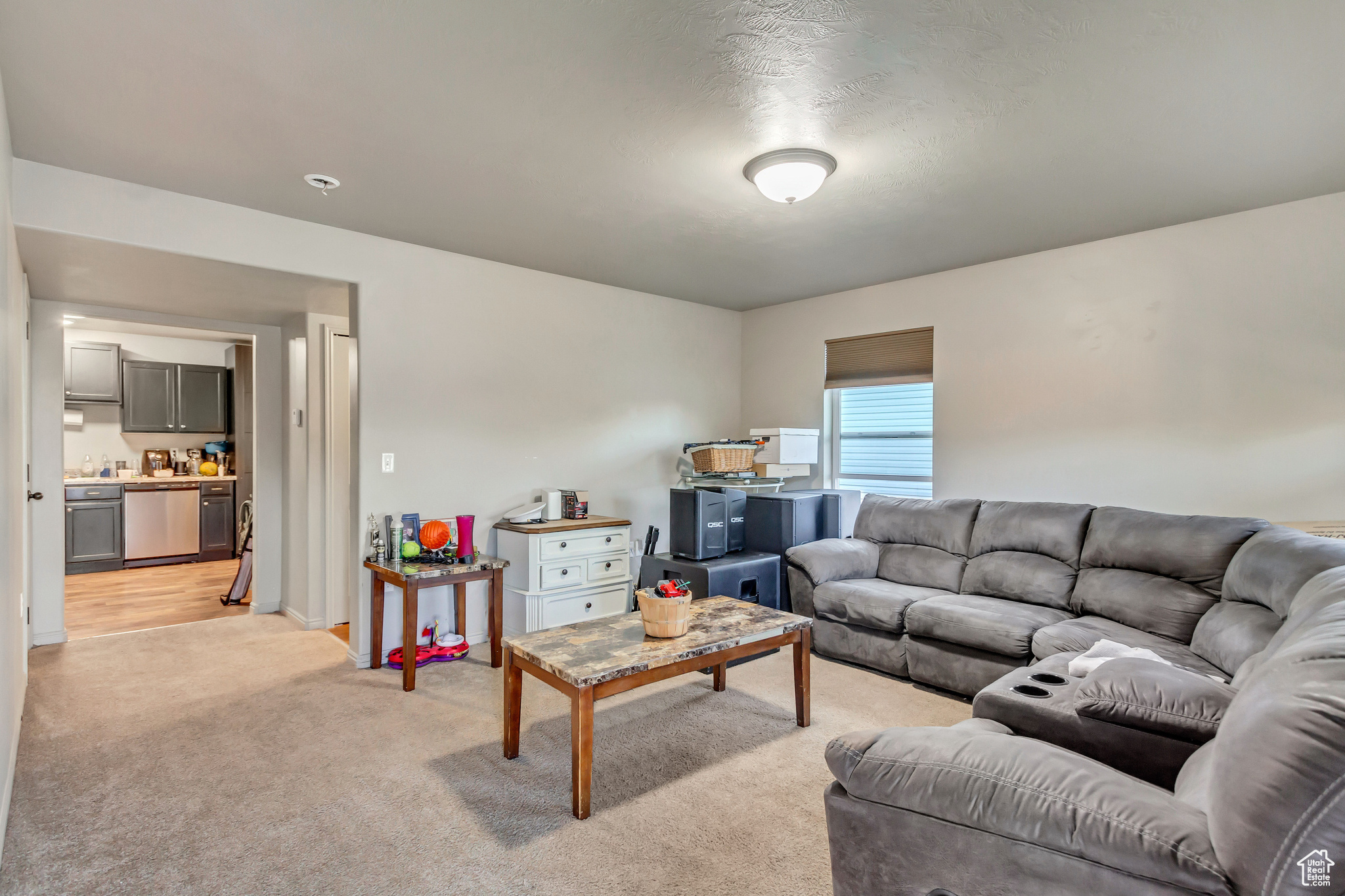 196 W Aparicio Dr, Tooele, Utah image 32