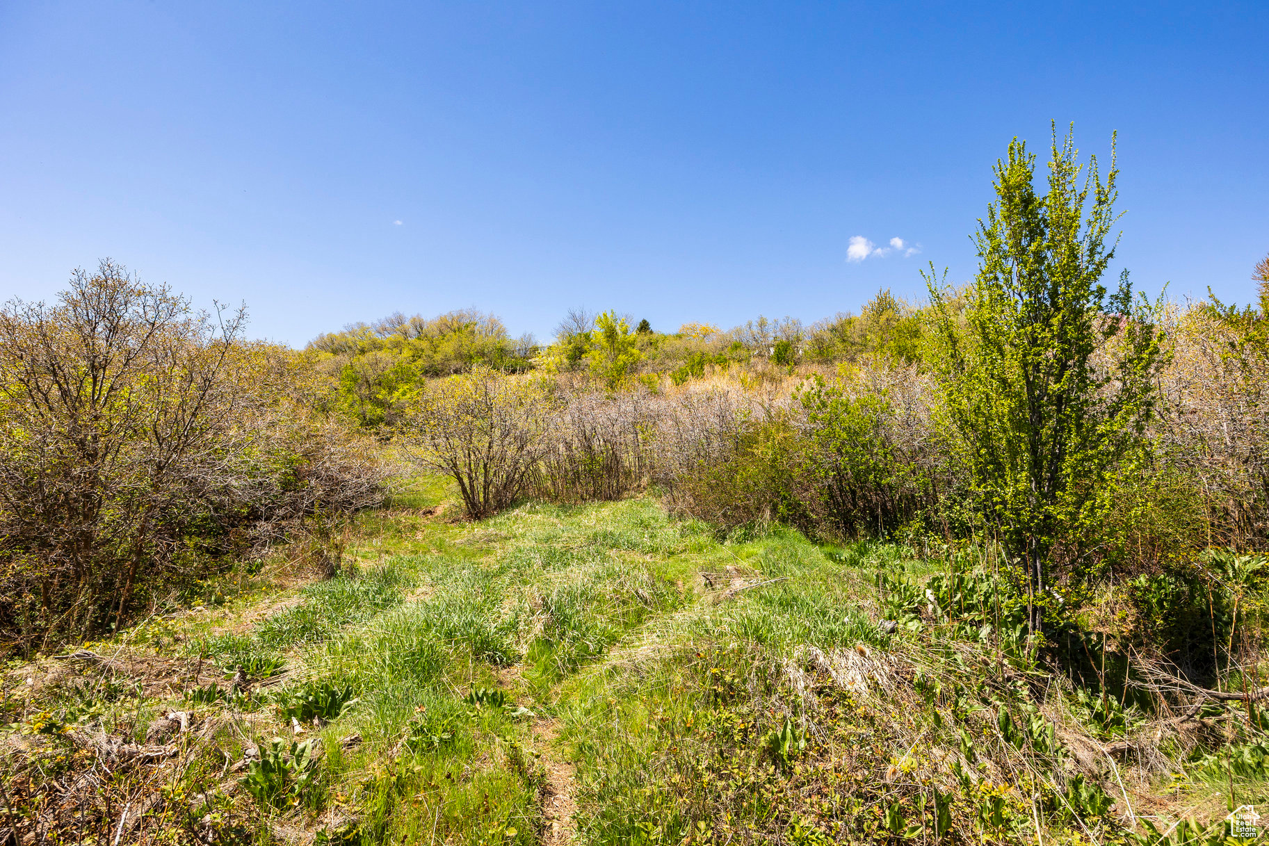 SLEEPY HOLLOW - Land