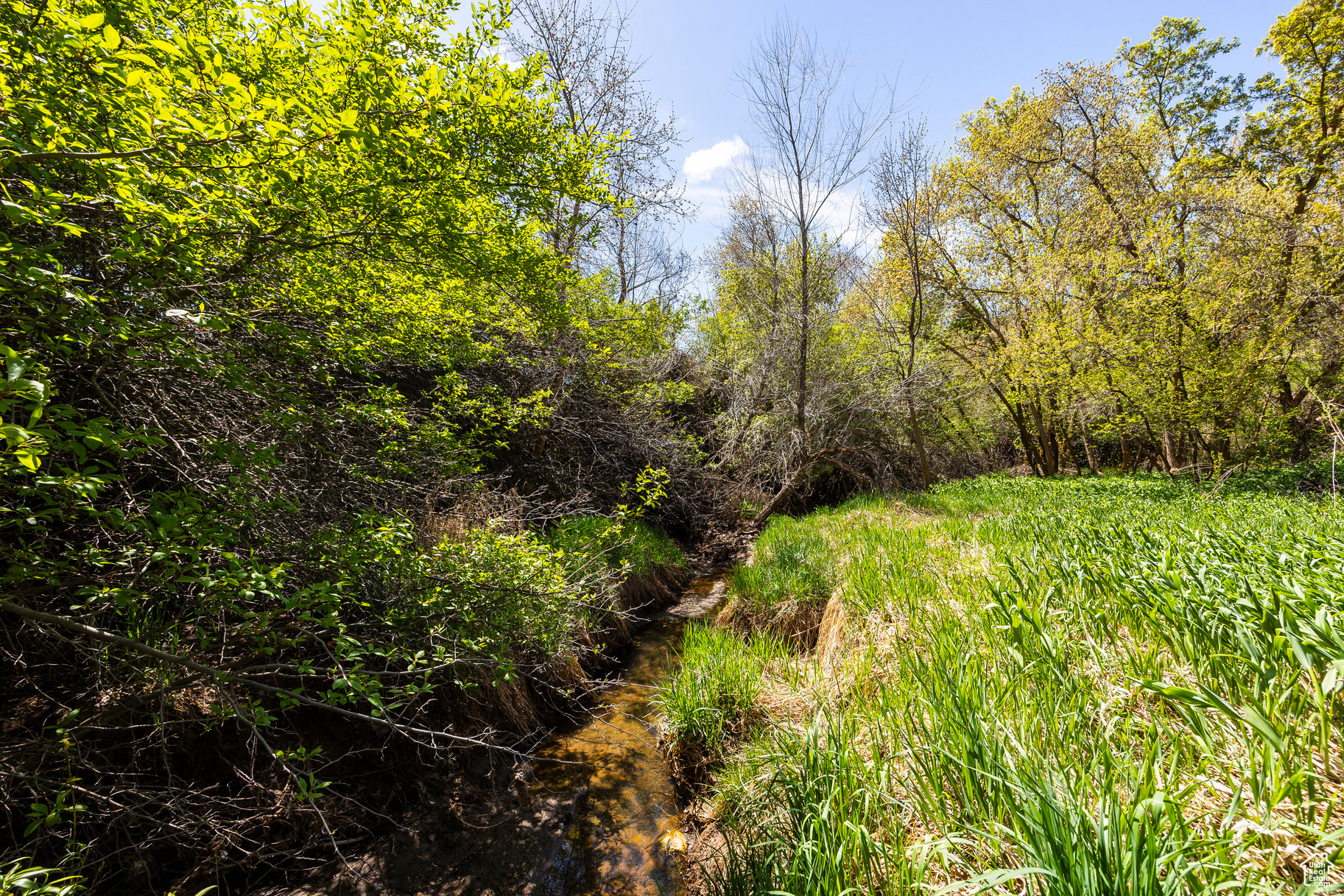 SLEEPY HOLLOW - Land