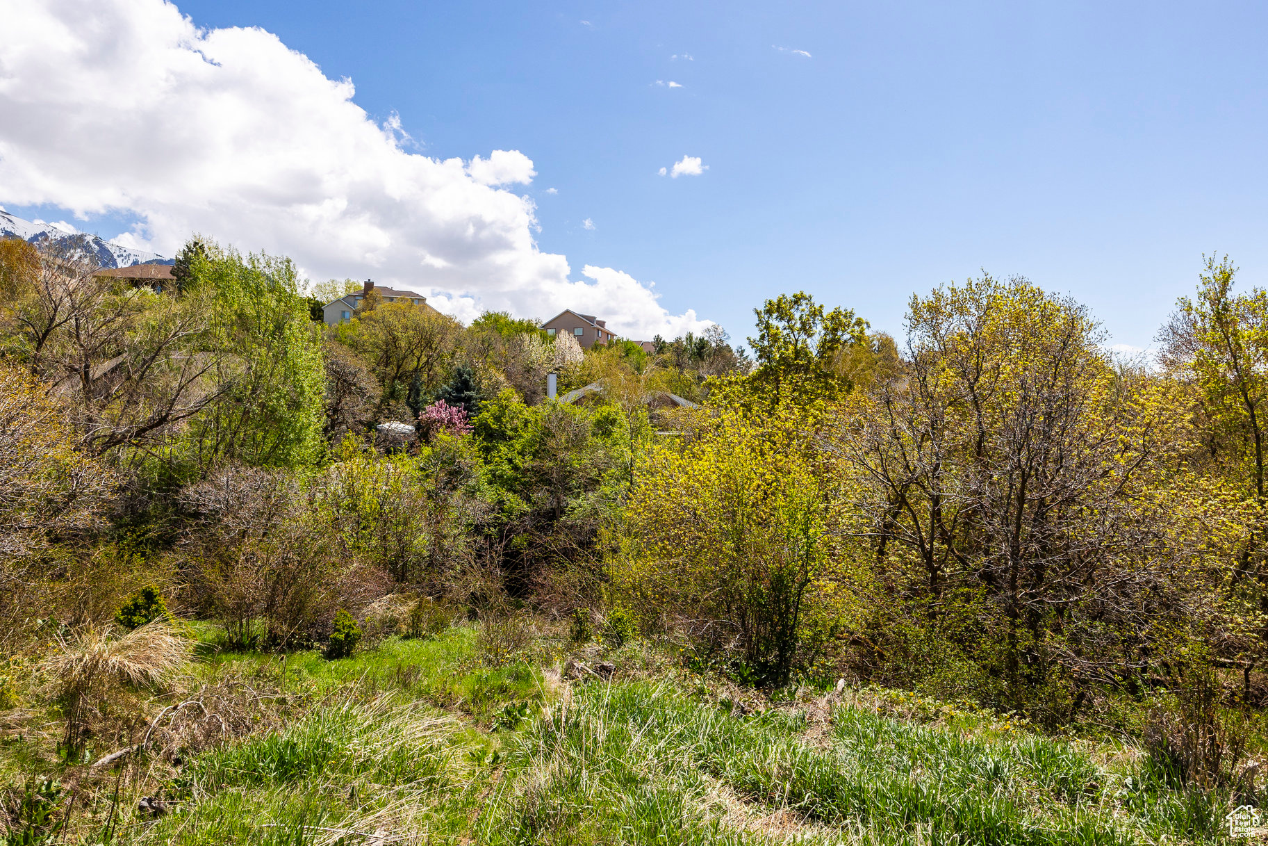 SLEEPY HOLLOW - Land