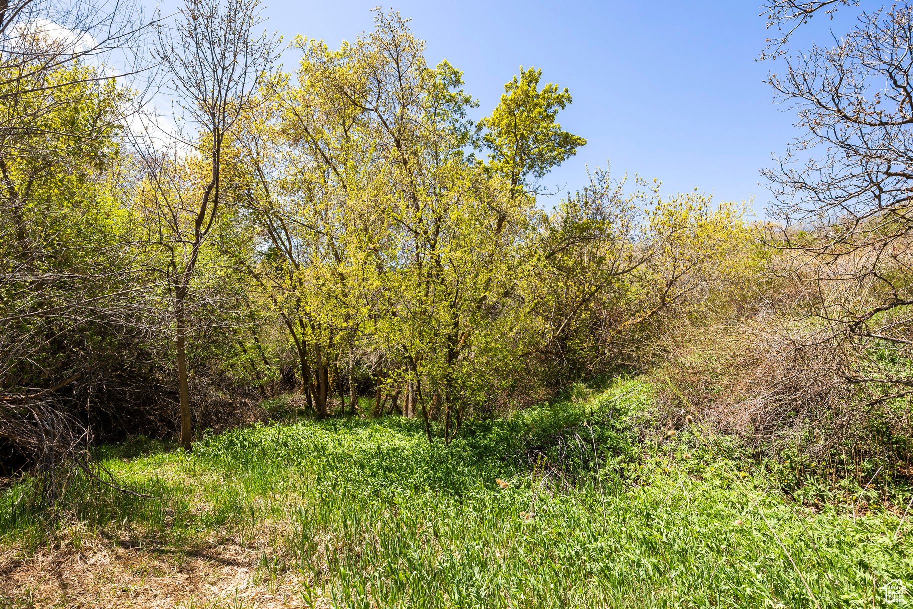 SLEEPY HOLLOW - Land